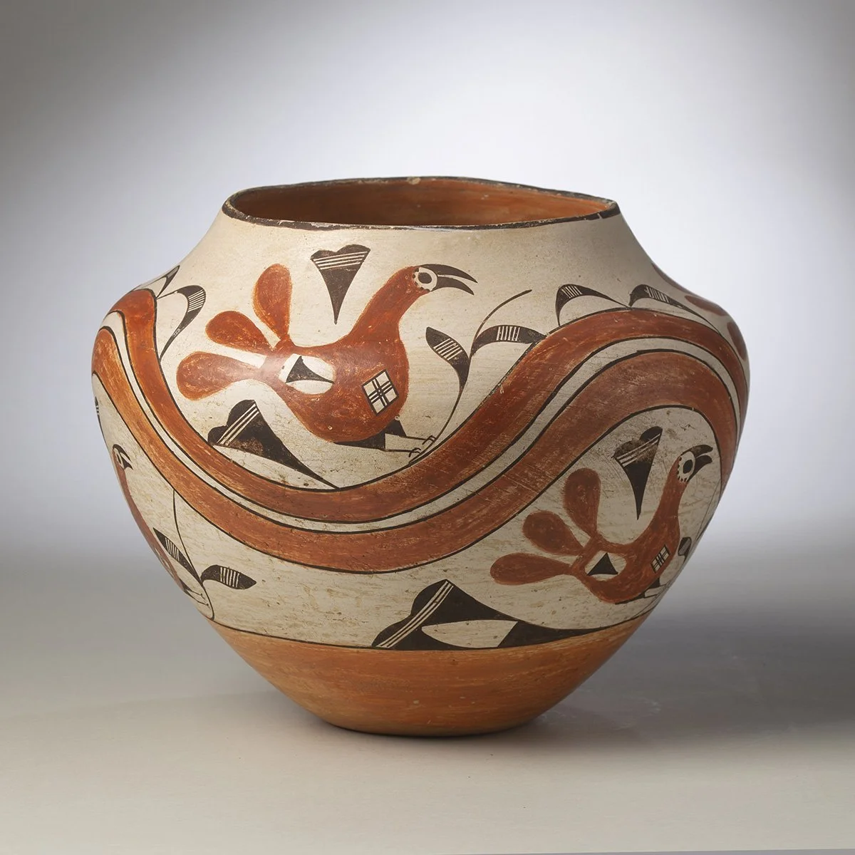 Acoma-Parrot-Olla-Pottery-Native-American-Art-Blackburn-4.jpg