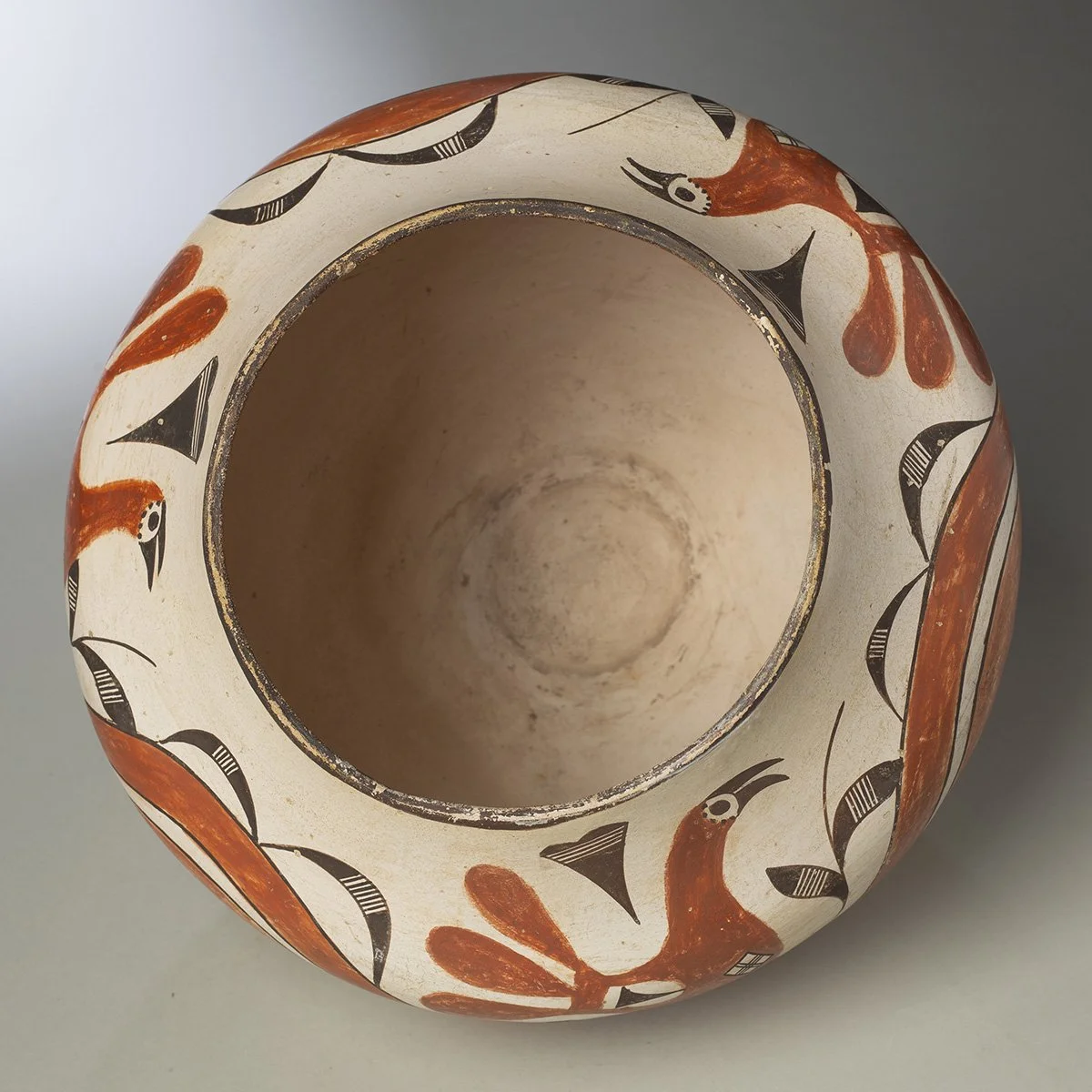 Acoma-Parrot-Olla-Pottery-Native-American-Art-Blackburn-5.jpg