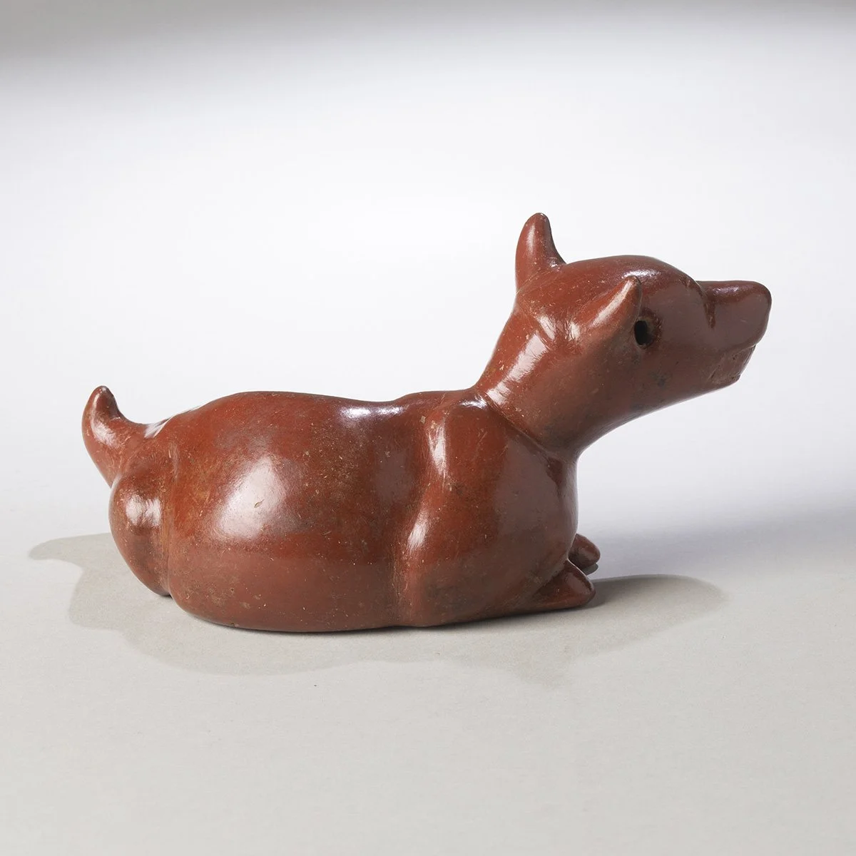 Fine-Colima-Dog-Pre-Columbian-Art-Blackburn-2.jpg