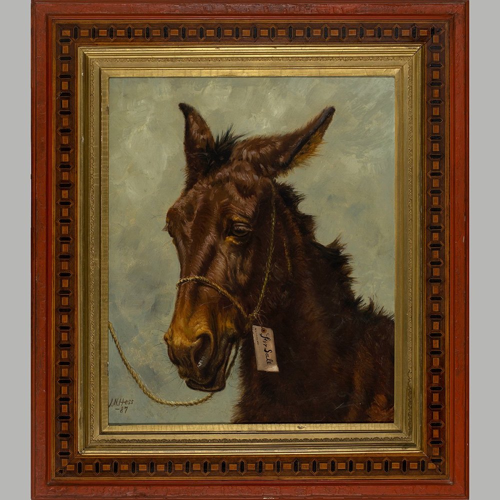 Gaited Mules Spotted Mule For Sale Appaloosa Mule For Sale 2025