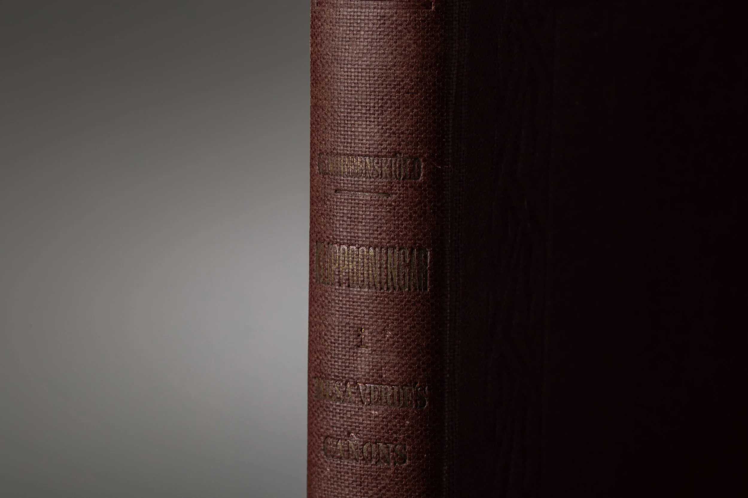 PB 2762b IMG_2852.jpeg