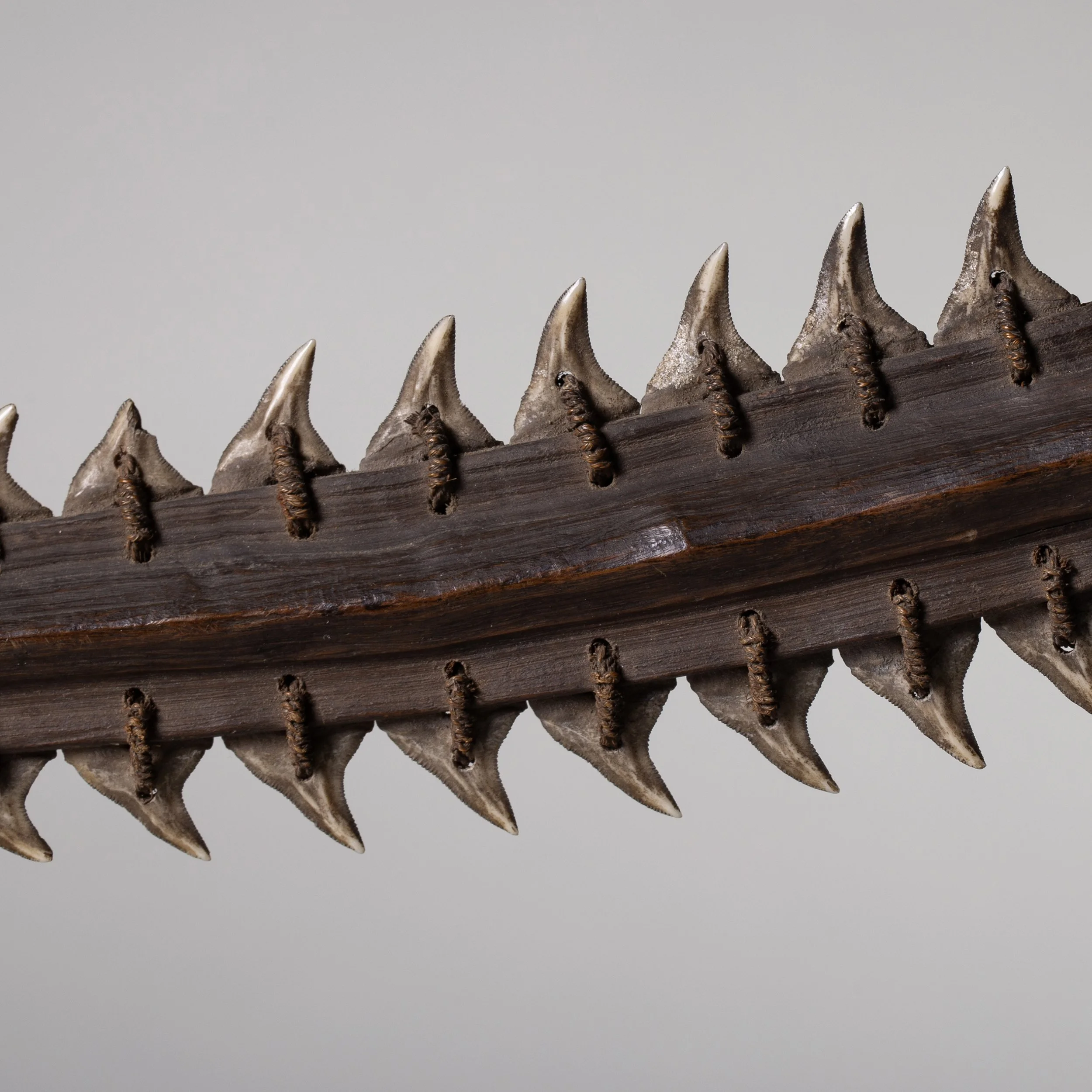 2336-Gilbert-Islands-Shark-Tooth-Hand-Sword-Oceanic-Art-Blackburn-5.jpg