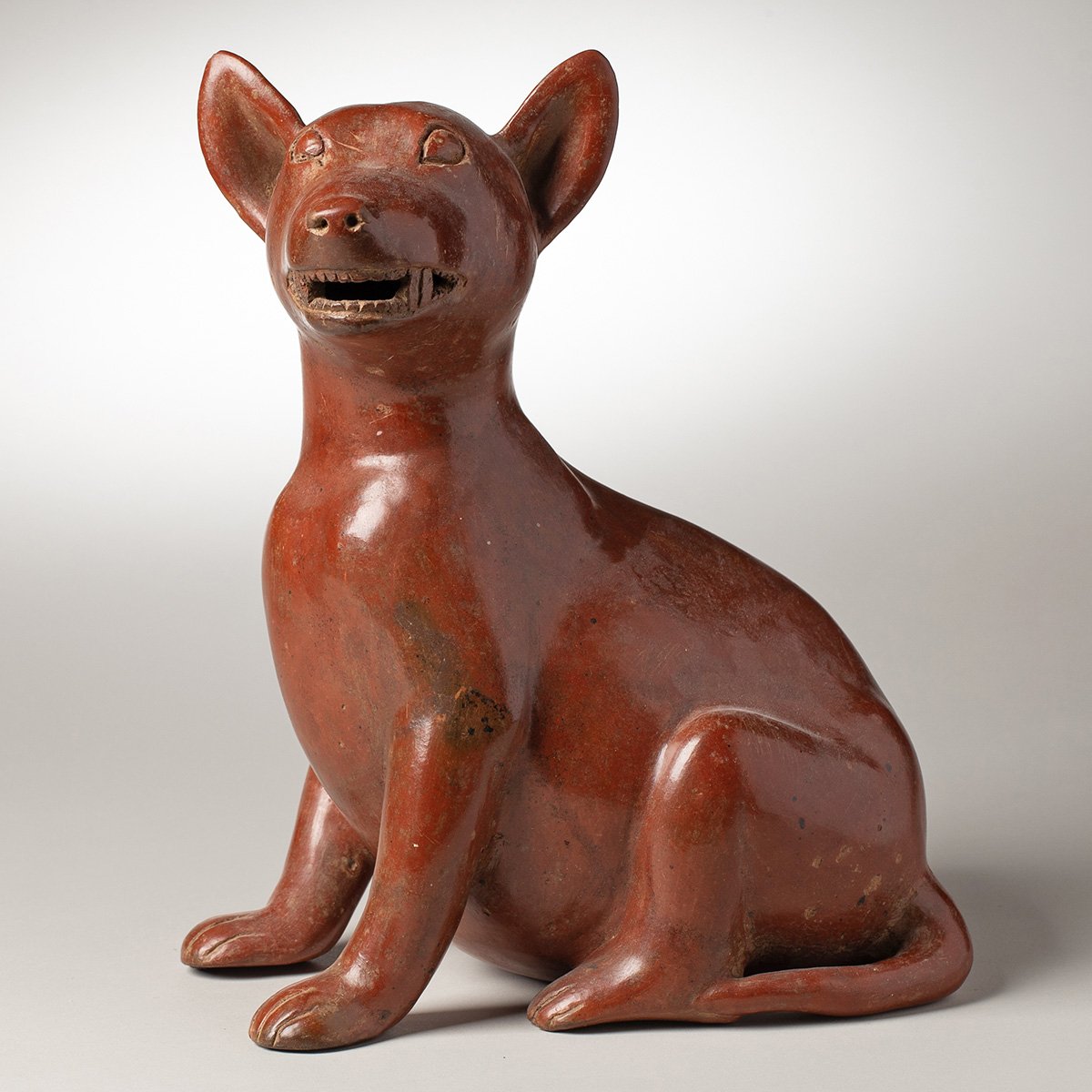 1347-Fine-Large-Seated-Colima-Dog-Pre-Columbian-Art-Blackburn-1.jpg