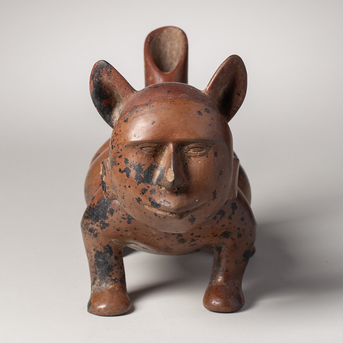 1074-Colima-Dog-Mask-Pre-Columbian-Art-Blackburn-3.jpg