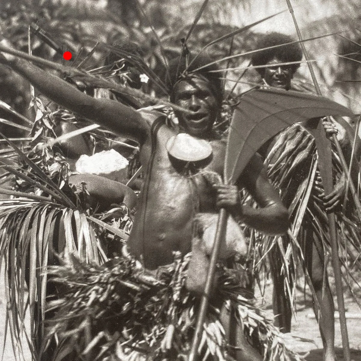 1664-Solomon-Islands-War-Spear-Oceanic-Art-Blackburn-6.jpg