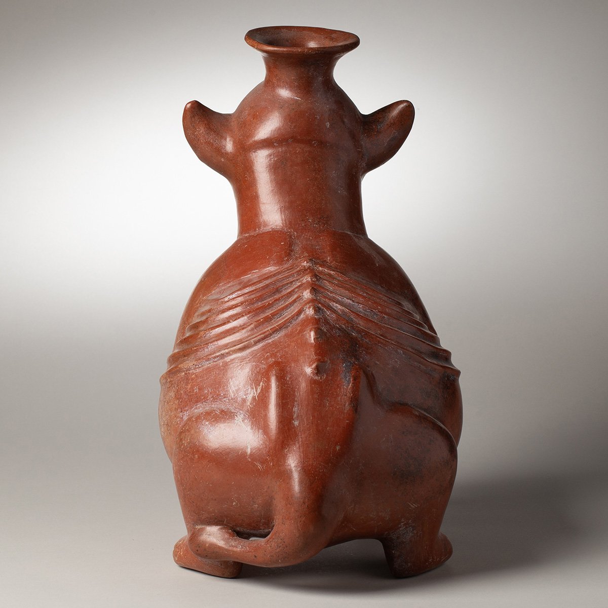 1346-Very-Large-Colima-Seated-Wrinkled-Dog-Pre-Columbian-Art-Blackburn-5.jpg