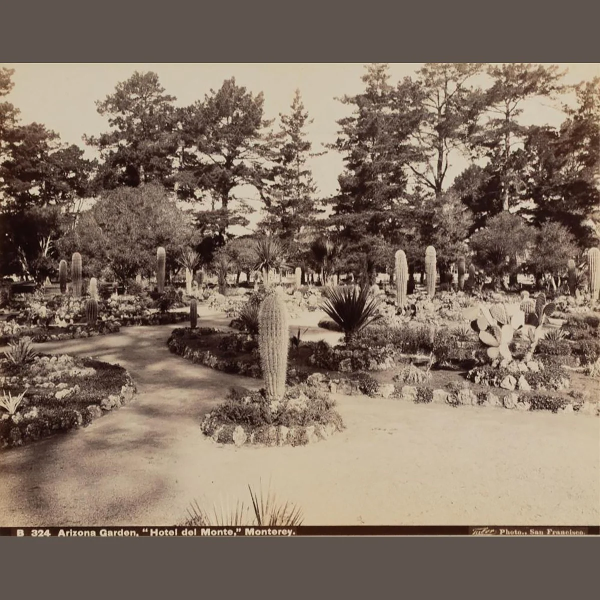 Photo-titled-Pueblo-of-Taos-1881-New-Mexico-Native-American-Photography-Art-Blackburn-2.JPG