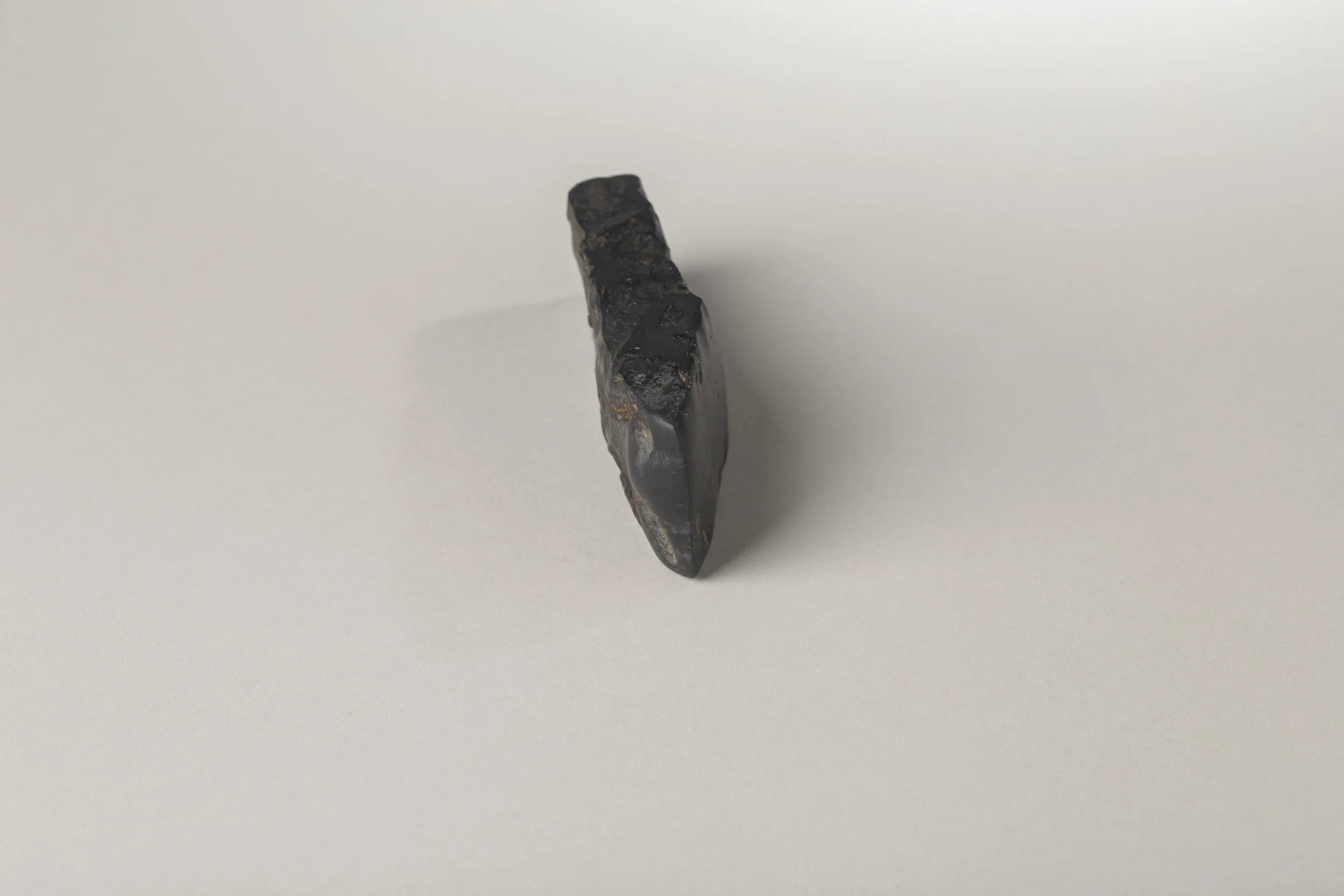 PB 2695e IMG_1806 s.jpeg