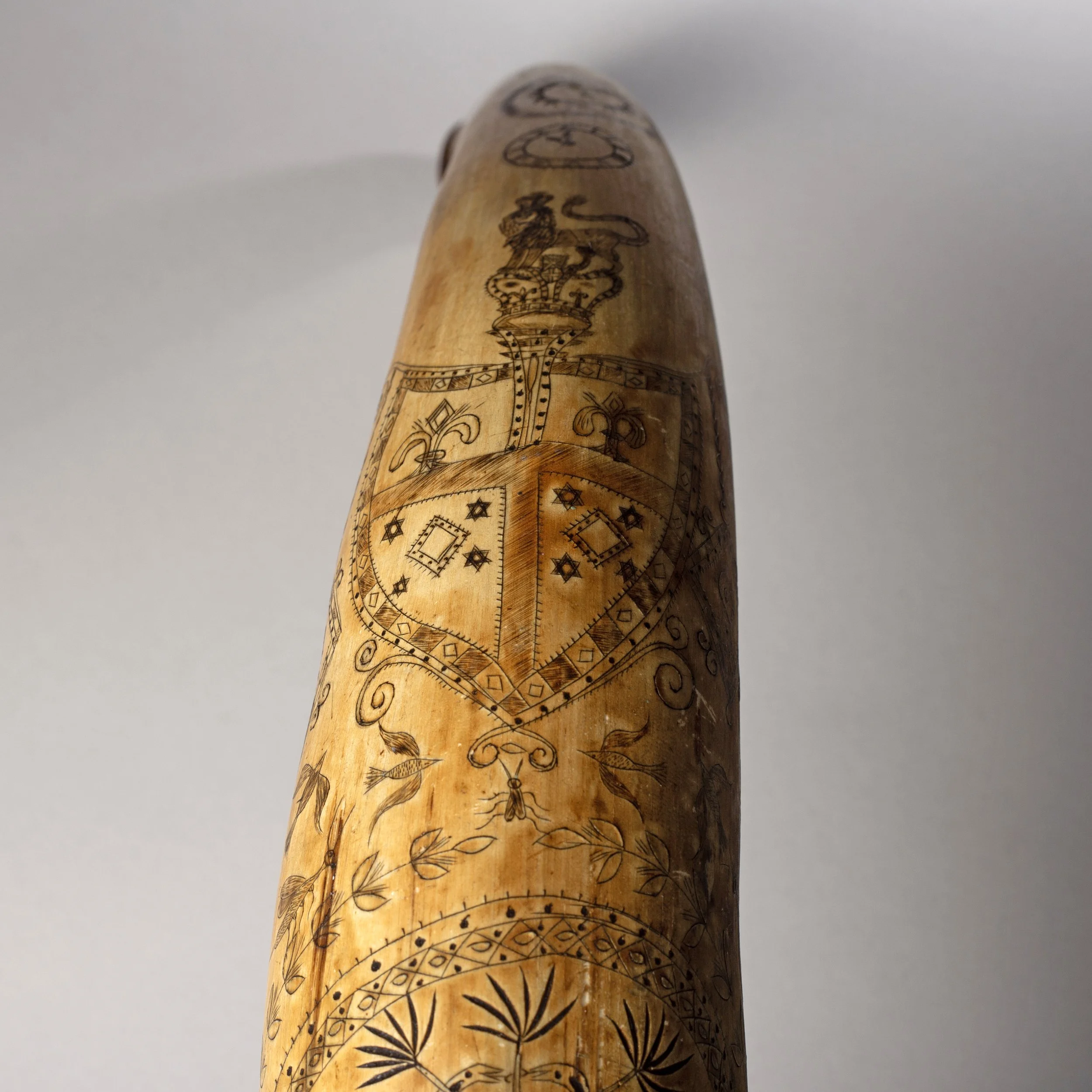 2311-Early-Colonial-Australian-Engraved-Powder-Horn-Australia-Art-Blackburn-10.jpg