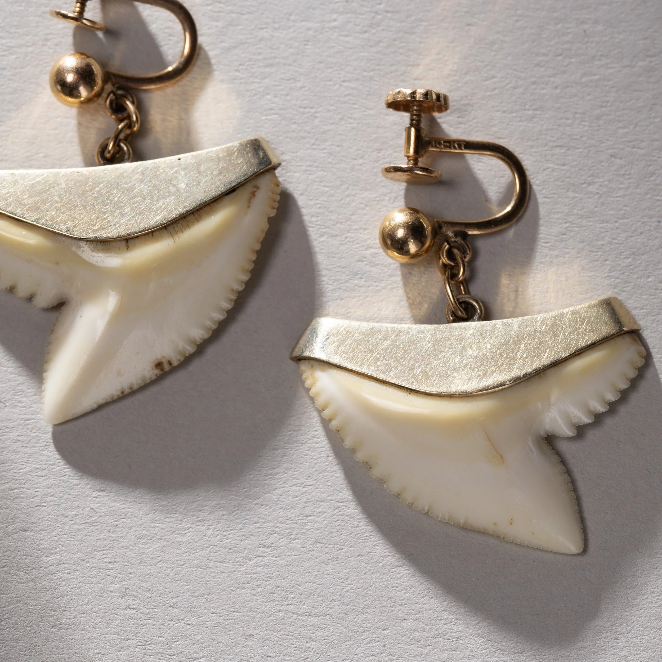 2294-Henry-Culman-Shark-Tooth-Earrings-Jewelry-Hawaii-Art-Blackburn-2.jpg