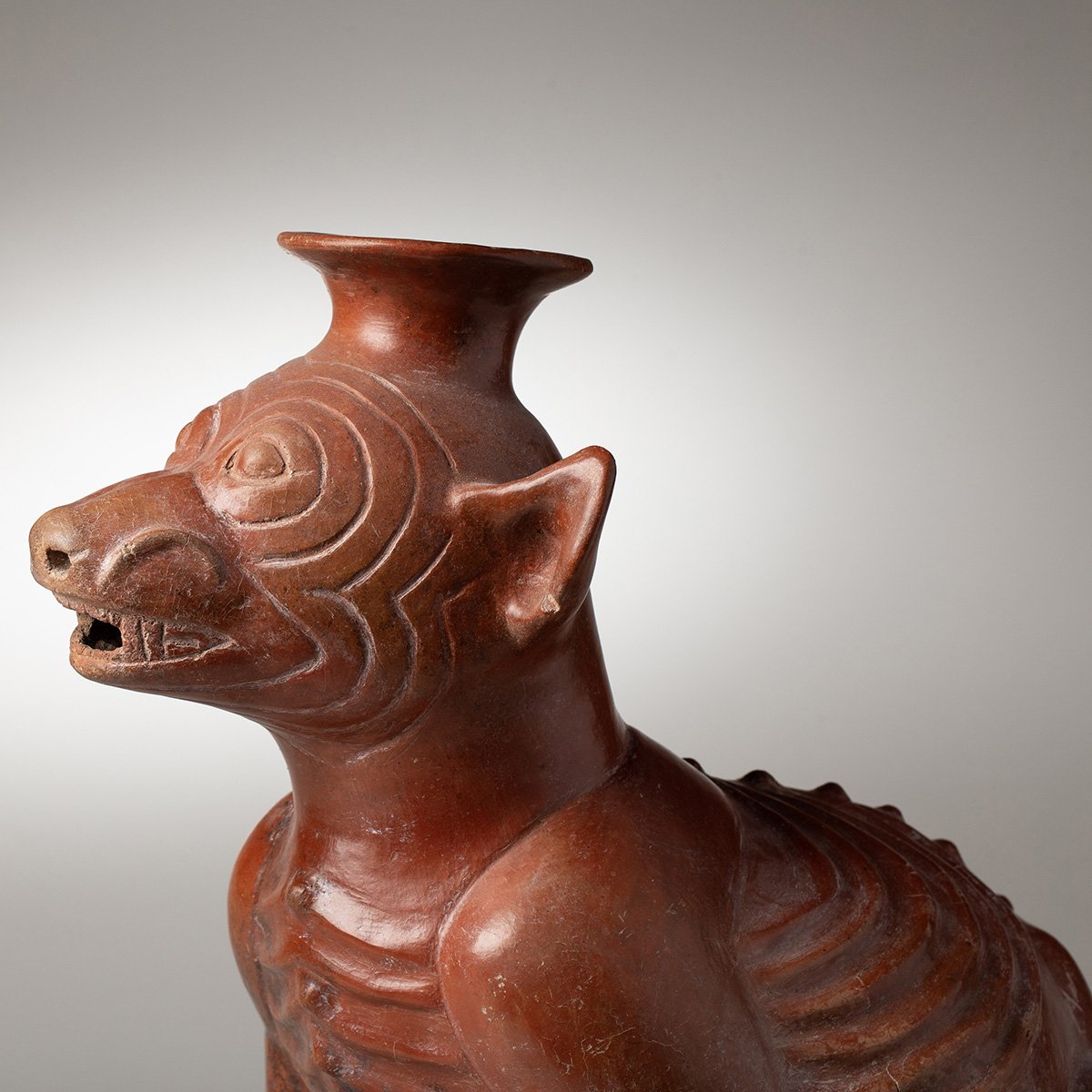 1346-Very-Large-Colima-Seated-Wrinkled-Dog-Pre-Columbian-Art-Blackburn-2.jpg