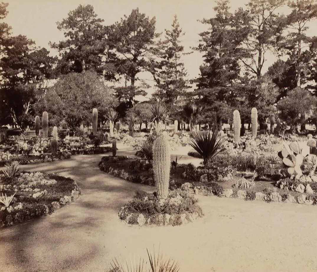 Photo-titled-Pueblo-of-Taos-1881-New-Mexico-Native-American-Photography-Art-Blackburn-2.png
