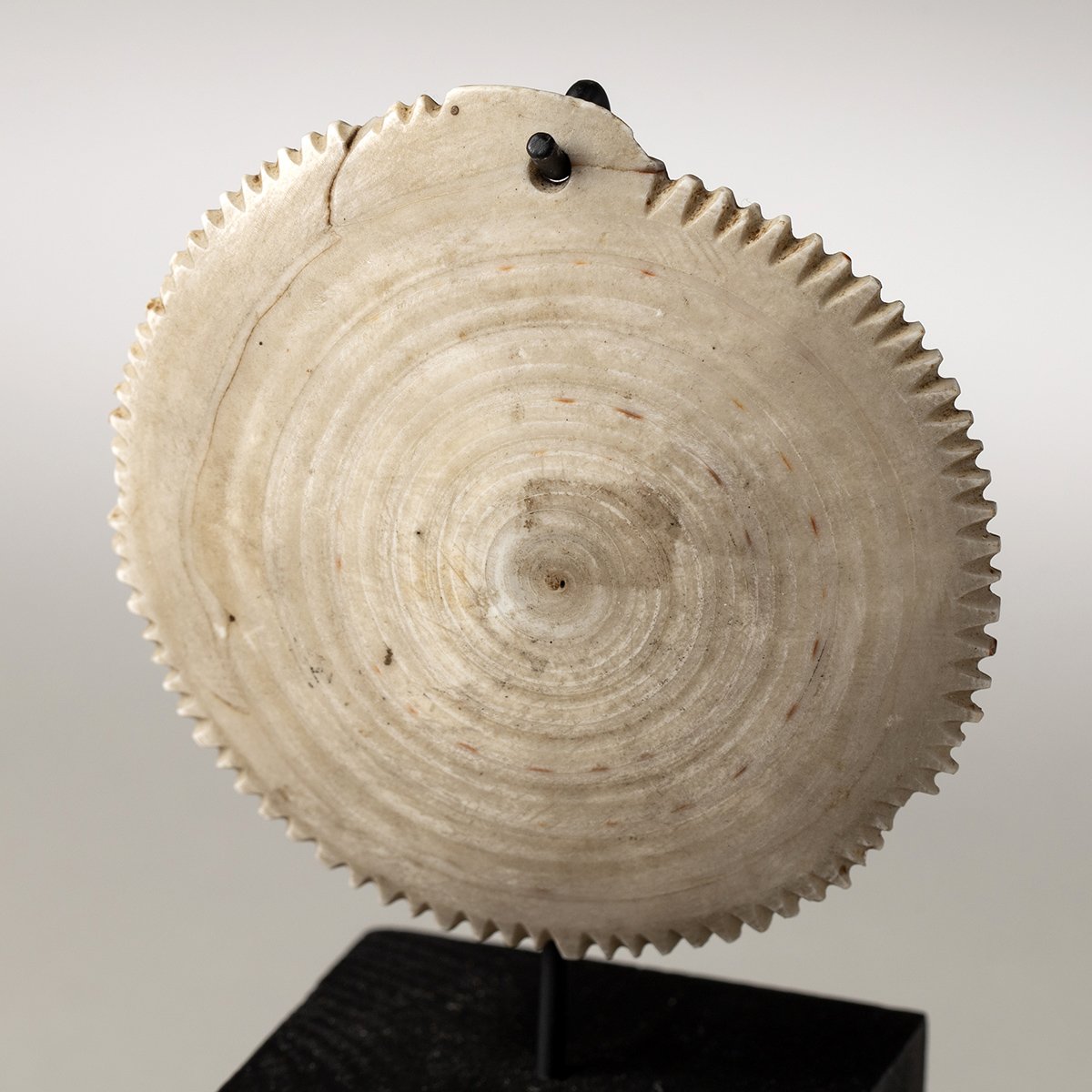 2245-Rare-Torres-Straits-Pendant-Oceanic-Art-Blackburn-2.jpg