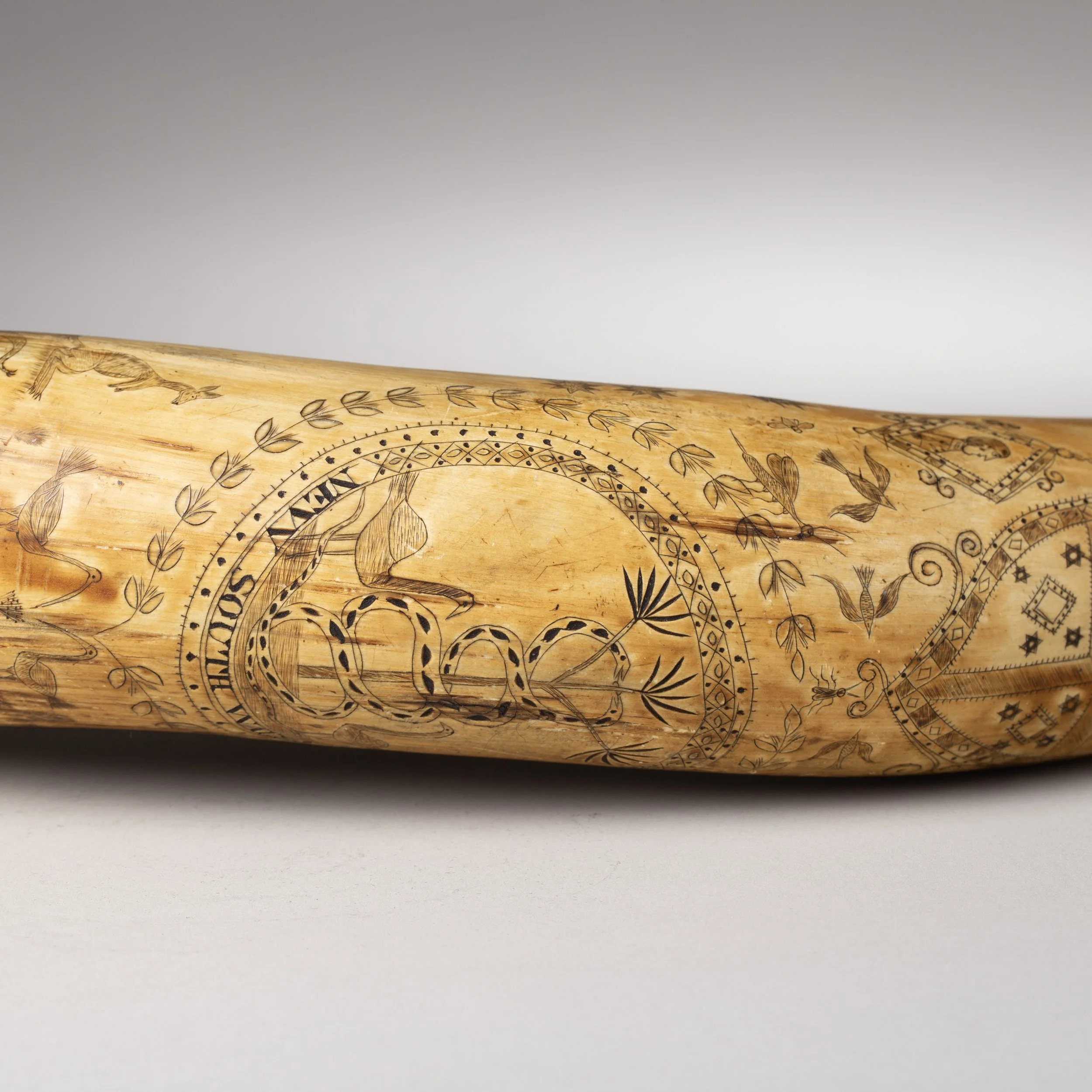 2311-Early-Colonial-Australian-Engraved-Powder-Horn-Australia-Art-Blackburn-6.jpg