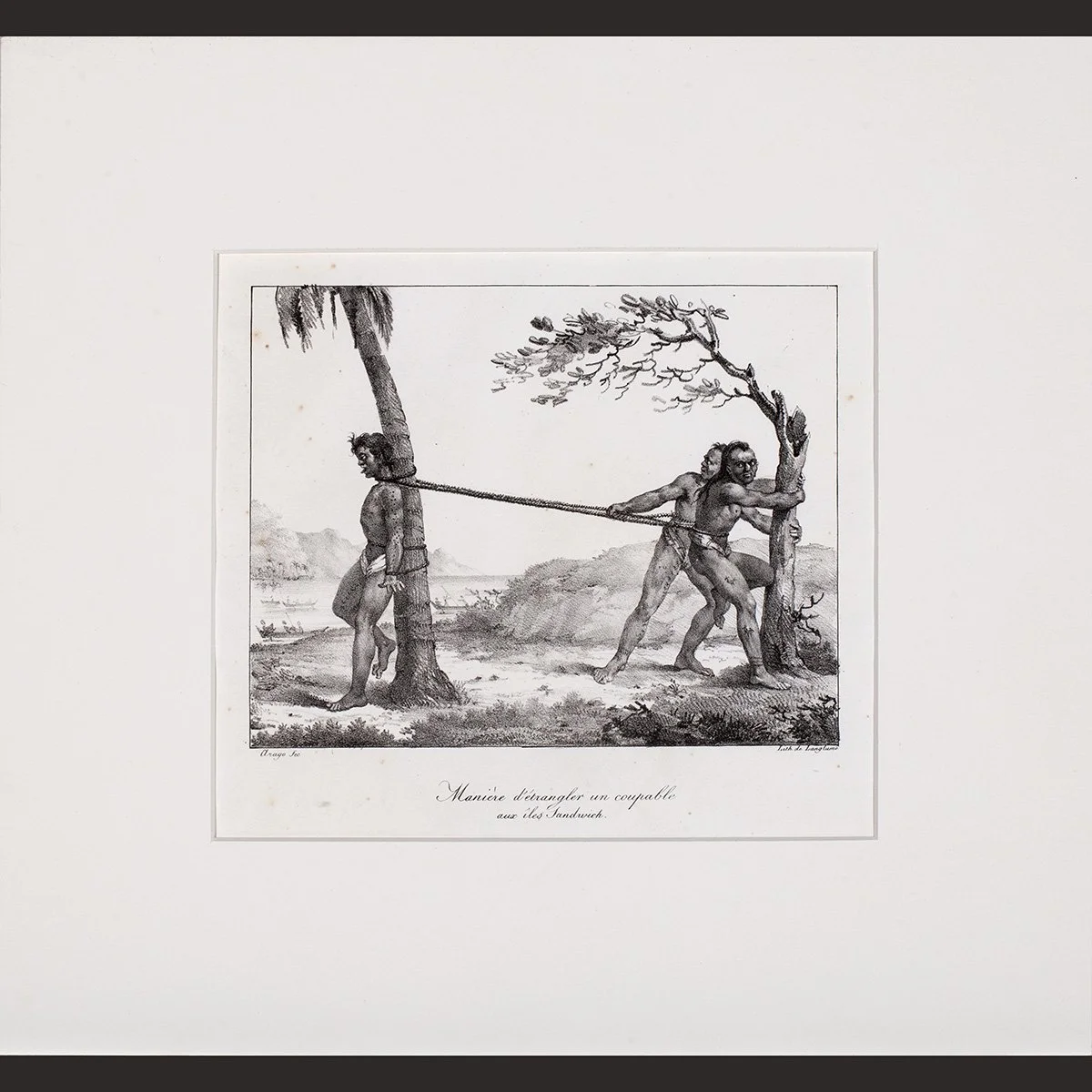 2559-Maniere-detrangler-Coupable-Iles-Sandwich-Hawaii-Pacific-Prints-Art-Blackburn-1.jpg (Copy)