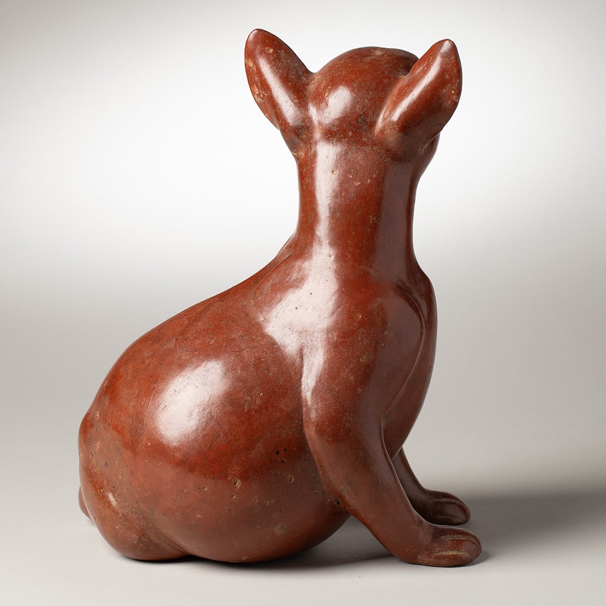 1347-Fine-Large-Seated-Colima-Dog-Pre-Columbian-Art-Blackburn-5.jpg