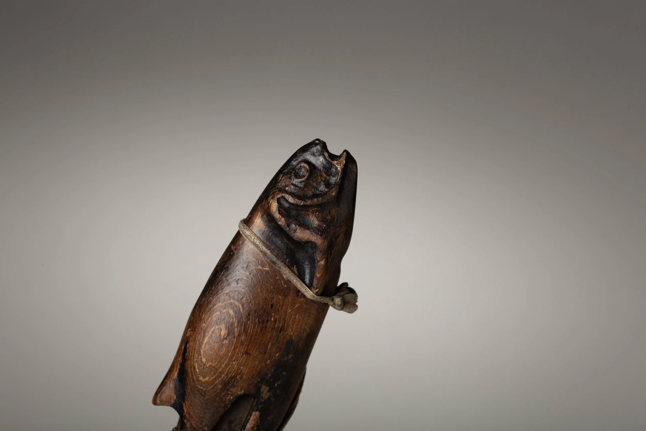 PB 2701d IMG_1918 s.jpeg