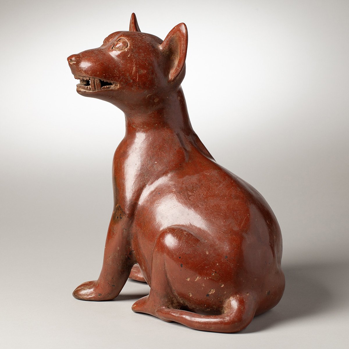 1347-Fine-Large-Seated-Colima-Dog-Pre-Columbian-Art-Blackburn-3.jpg