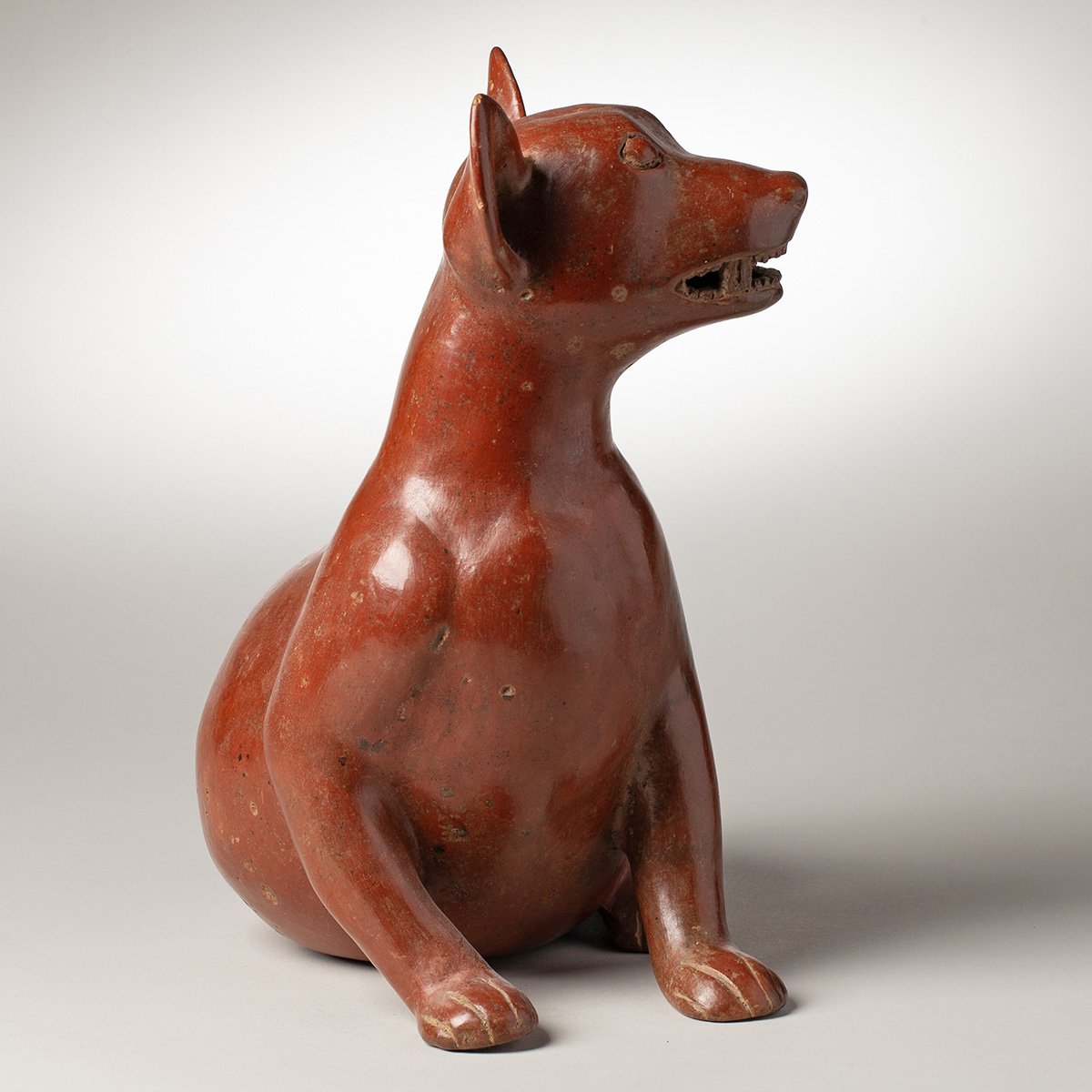 1347-Fine-Large-Seated-Colima-Dog-Pre-Columbian-Art-Blackburn-6.jpg