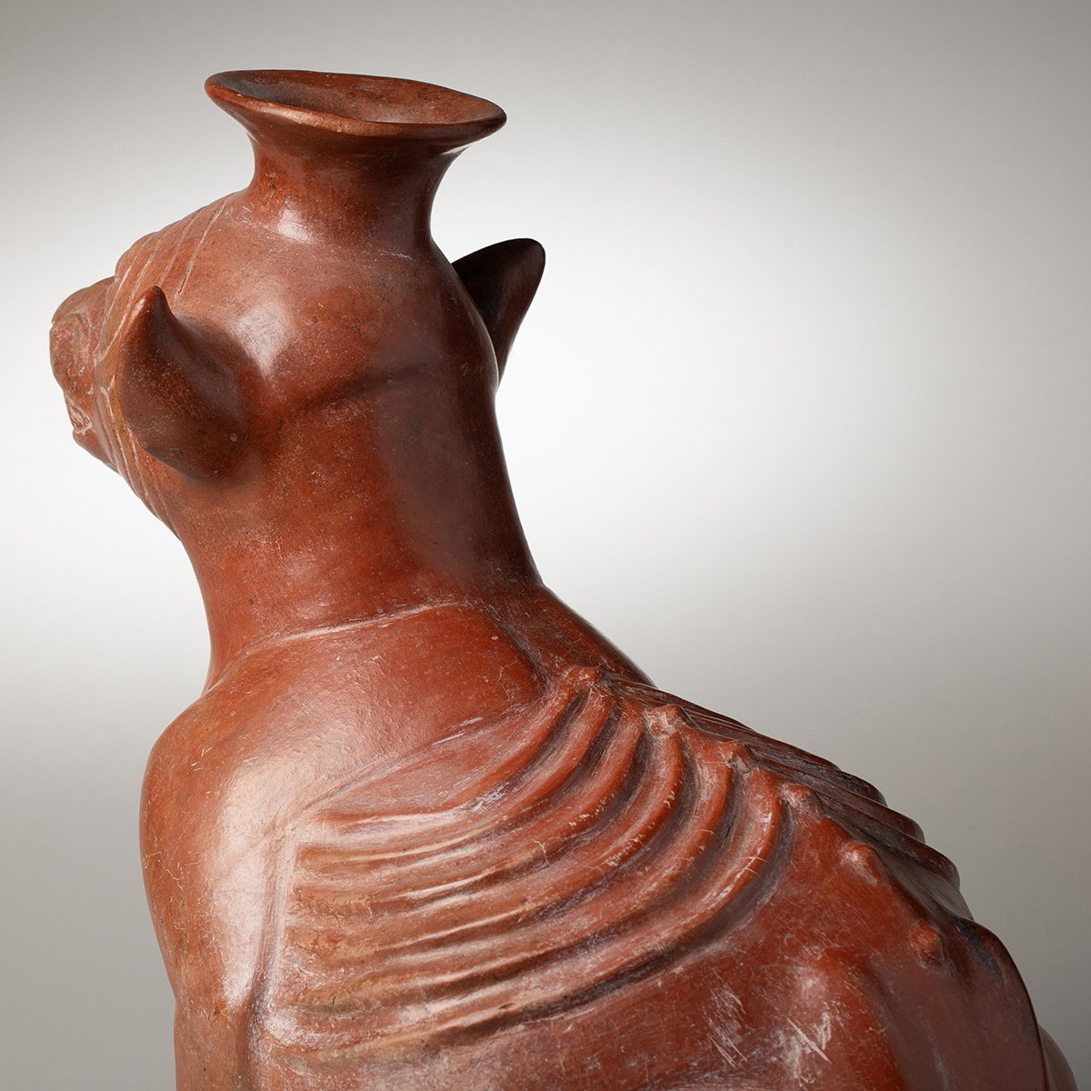1346-Very-Large-Colima-Seated-Wrinkled-Dog-Pre-Columbian-Art-Blackburn-7.jpg