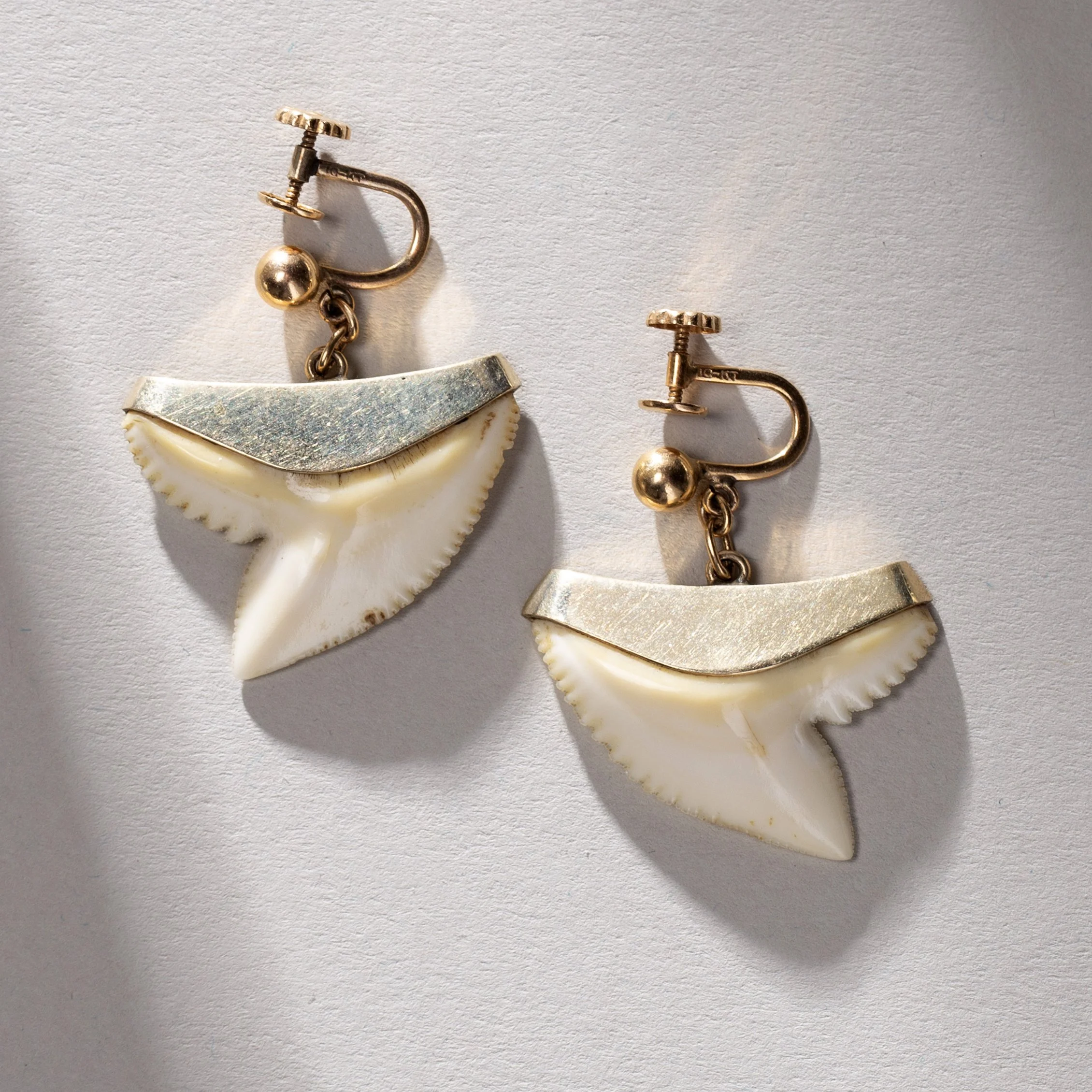 2294-Henry-Culman-Shark-Tooth-Earrings-Jewelry-Hawaii-Art-Blackburn-1.jpg