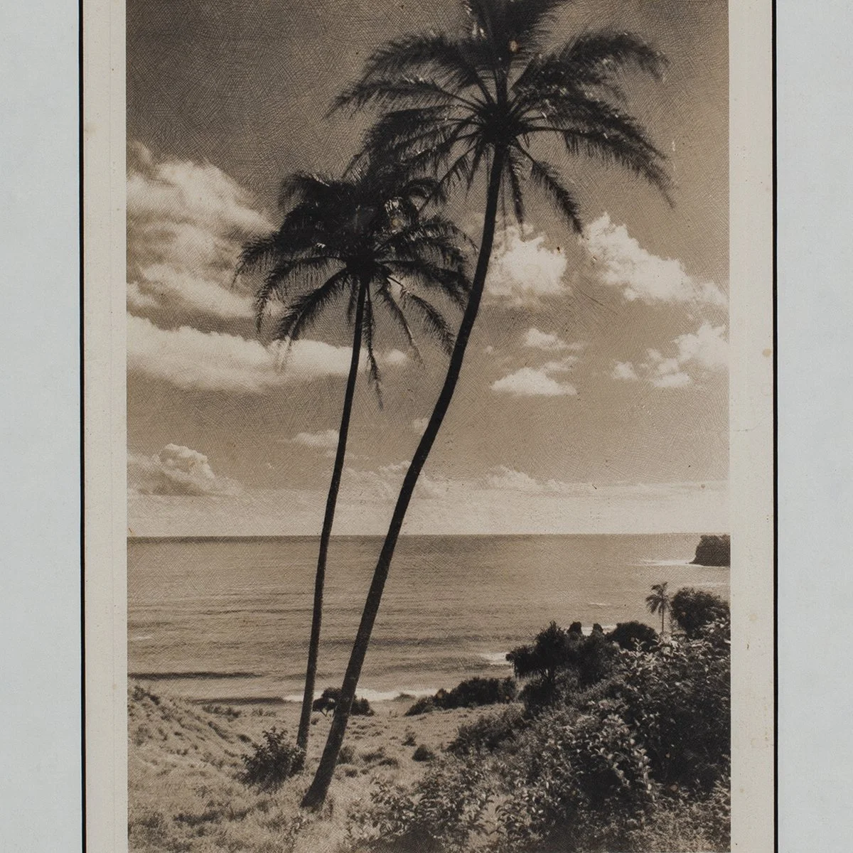 1643-Cocoanut-Palms-Hawaii-Photographs-Art-Blackburn-2.jpg