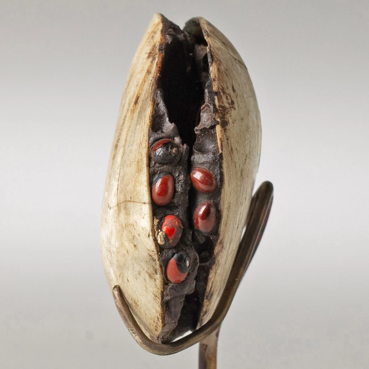 2270-Aborigine-Shell-Gum-Seed-Beads-Australia-Young-Collectors-500-or-less-Art-Blackburn-5.jpg