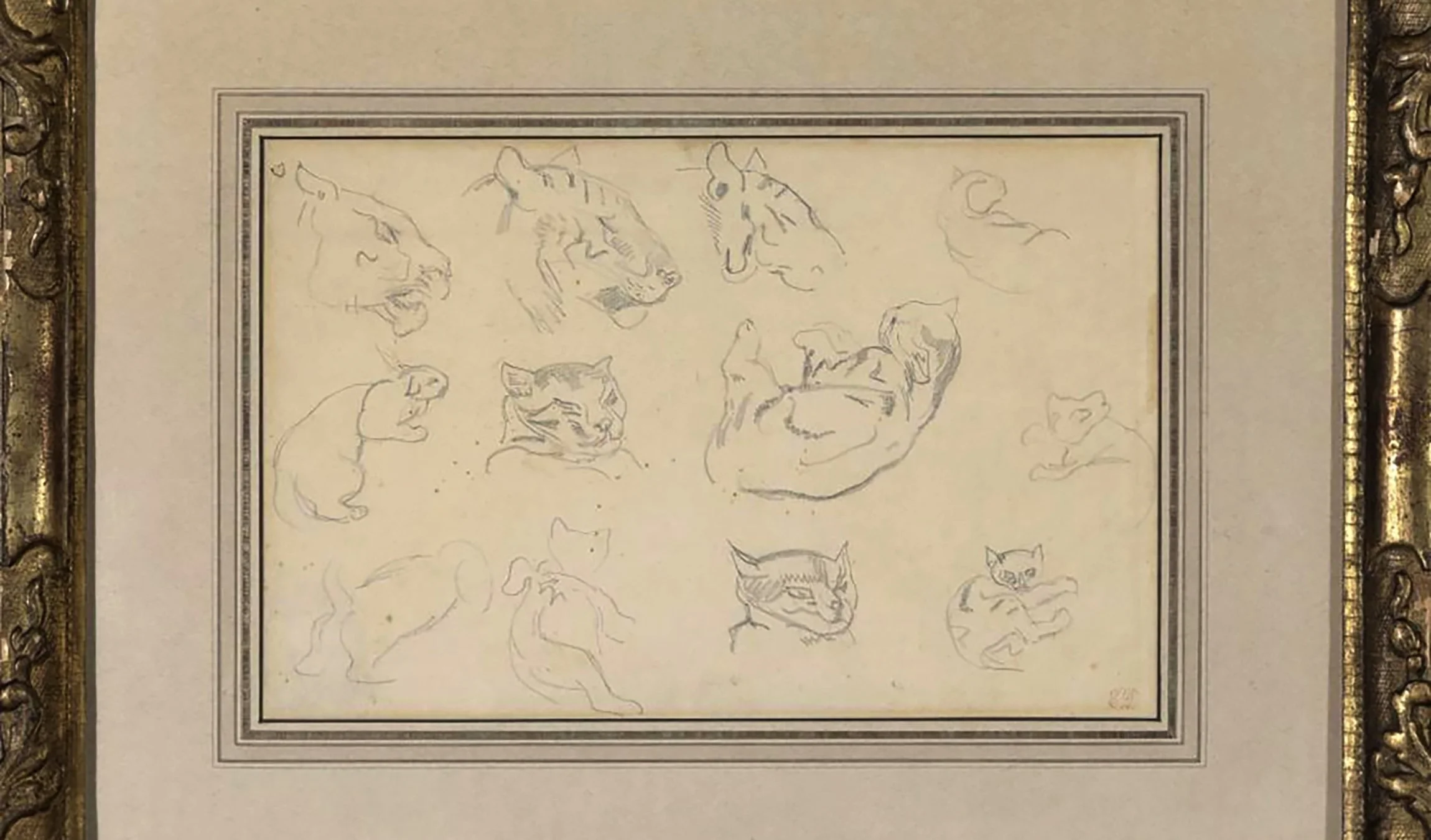 Ferdinand-Victor-Eugene-Delacroix-Cat Studies-Paintings-Drawings-Art-Blackburn-1.JPG