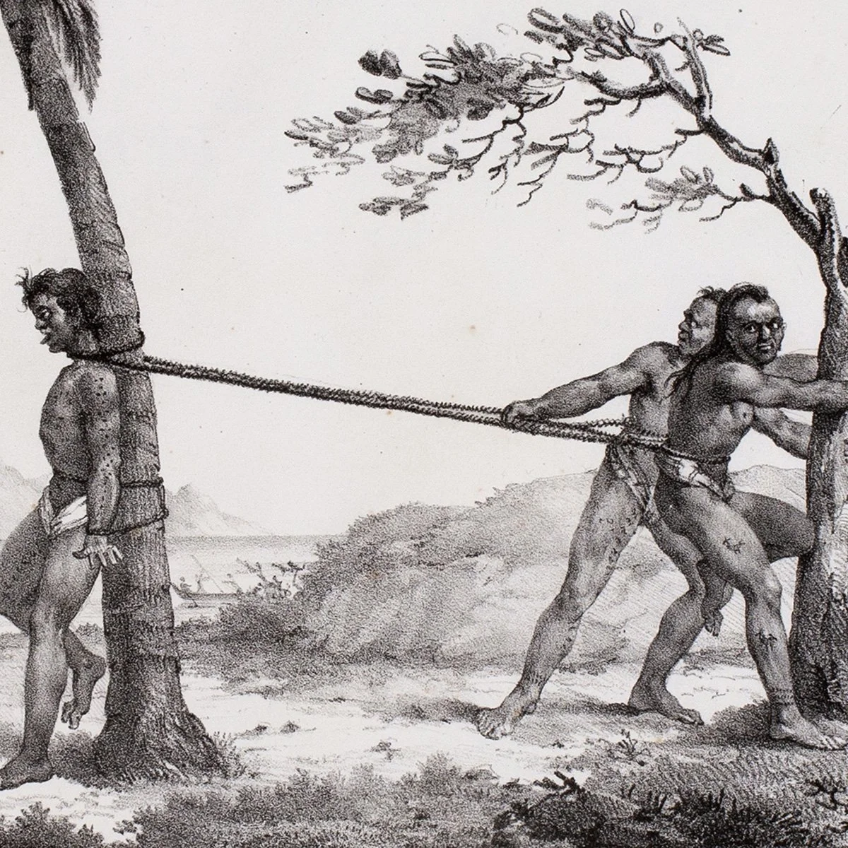 2559-Maniere-detrangler-Coupable-Iles-Sandwich-Hawaii-Pacific-Prints-Art-Blackburn-2.jpg (Copy)