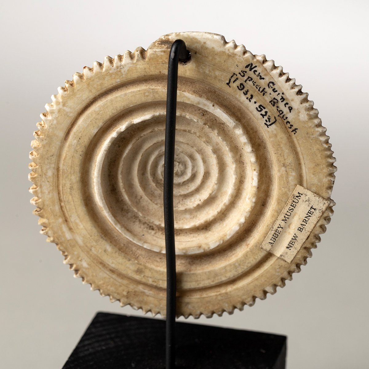 2245-Rare-Torres-Straits-Pendant-Oceanic-Art-Blackburn-6.jpg