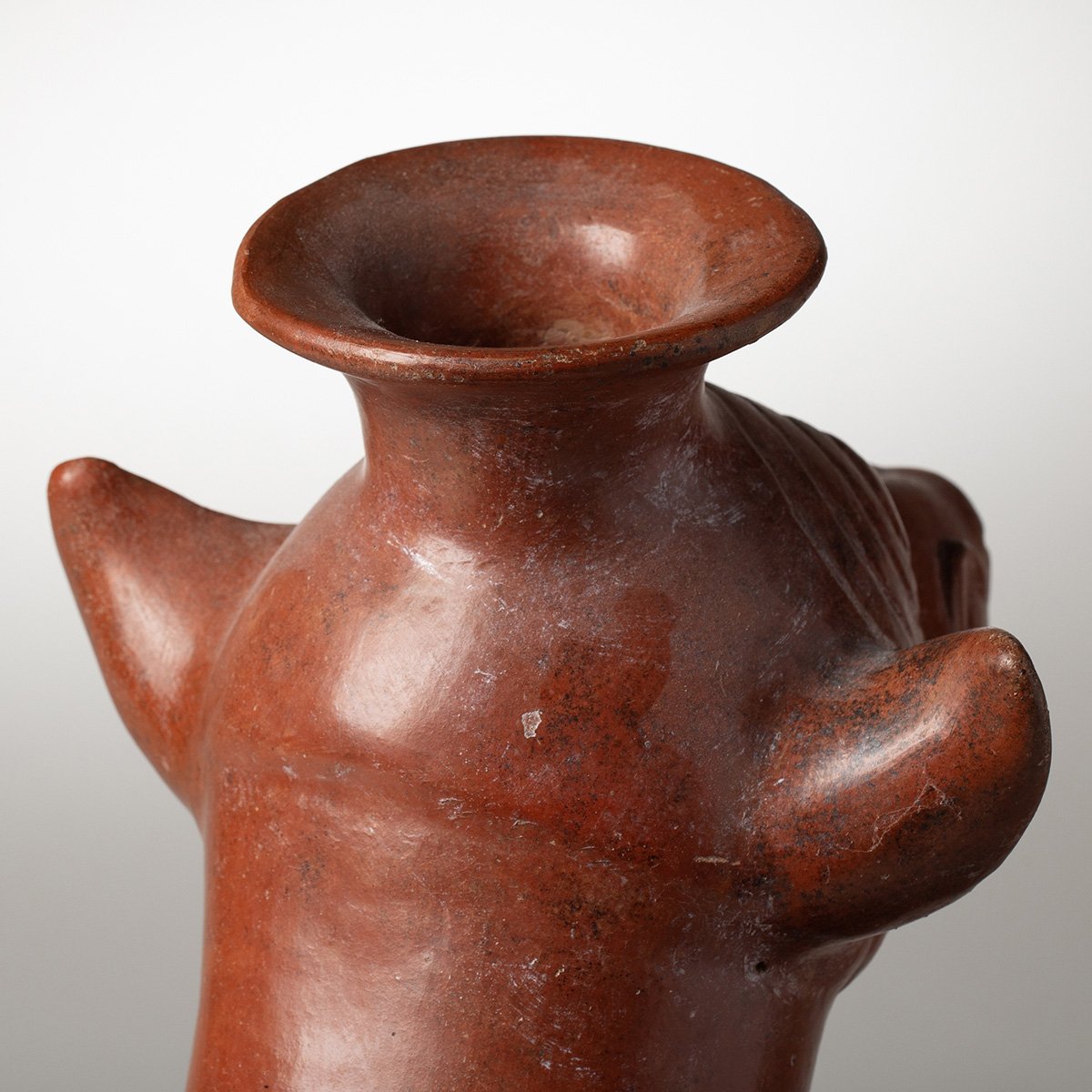 1346-Very-Large-Colima-Seated-Wrinkled-Dog-Pre-Columbian-Art-Blackburn-9.jpg