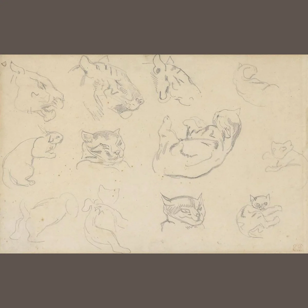 Ferdinand-Victor-Eugene-Delacroix-Cat Studies-Paintings-Drawings-Art-Blackburn-2.jpg