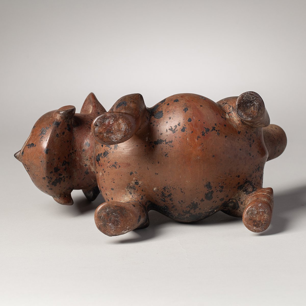 1074-Colima-Dog-Mask-Pre-Columbian-Art-Blackburn-8.jpg