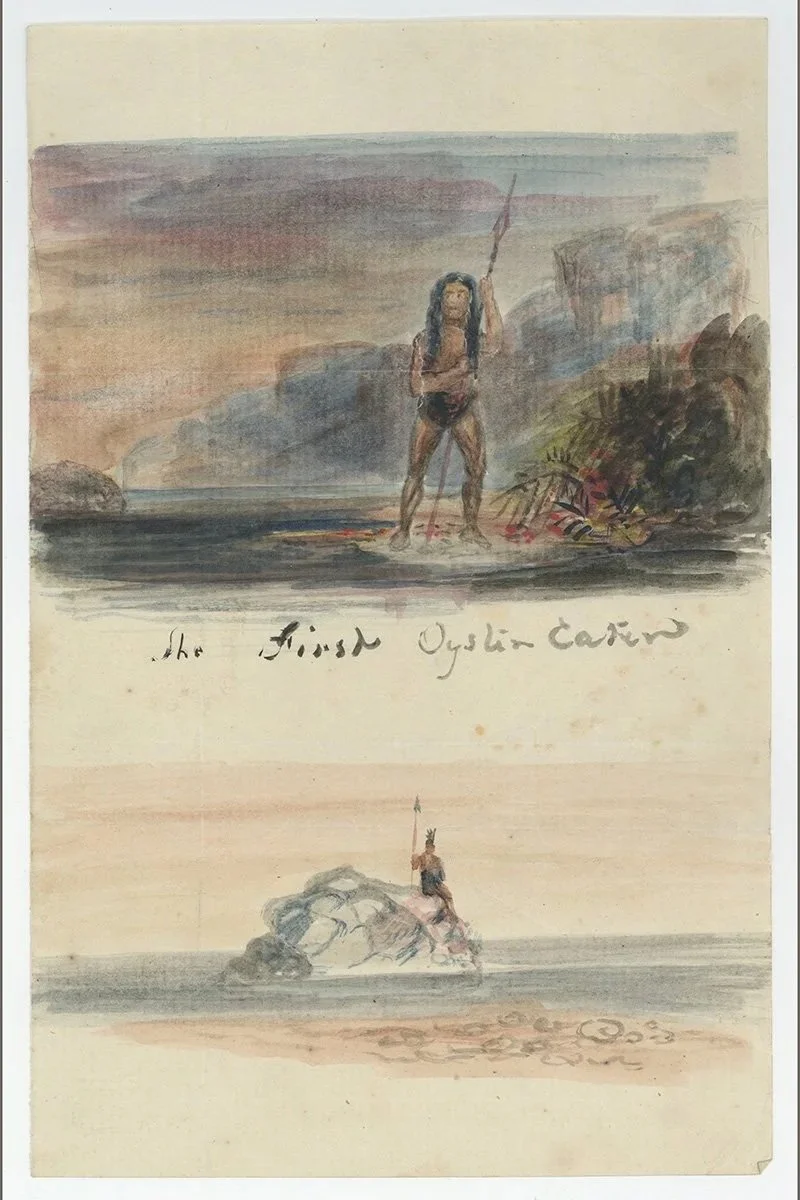 2537-Maori-Oyster-Catcher-Watercolor-Draawings-Oceanic-Art-Blackburn-1.jpg