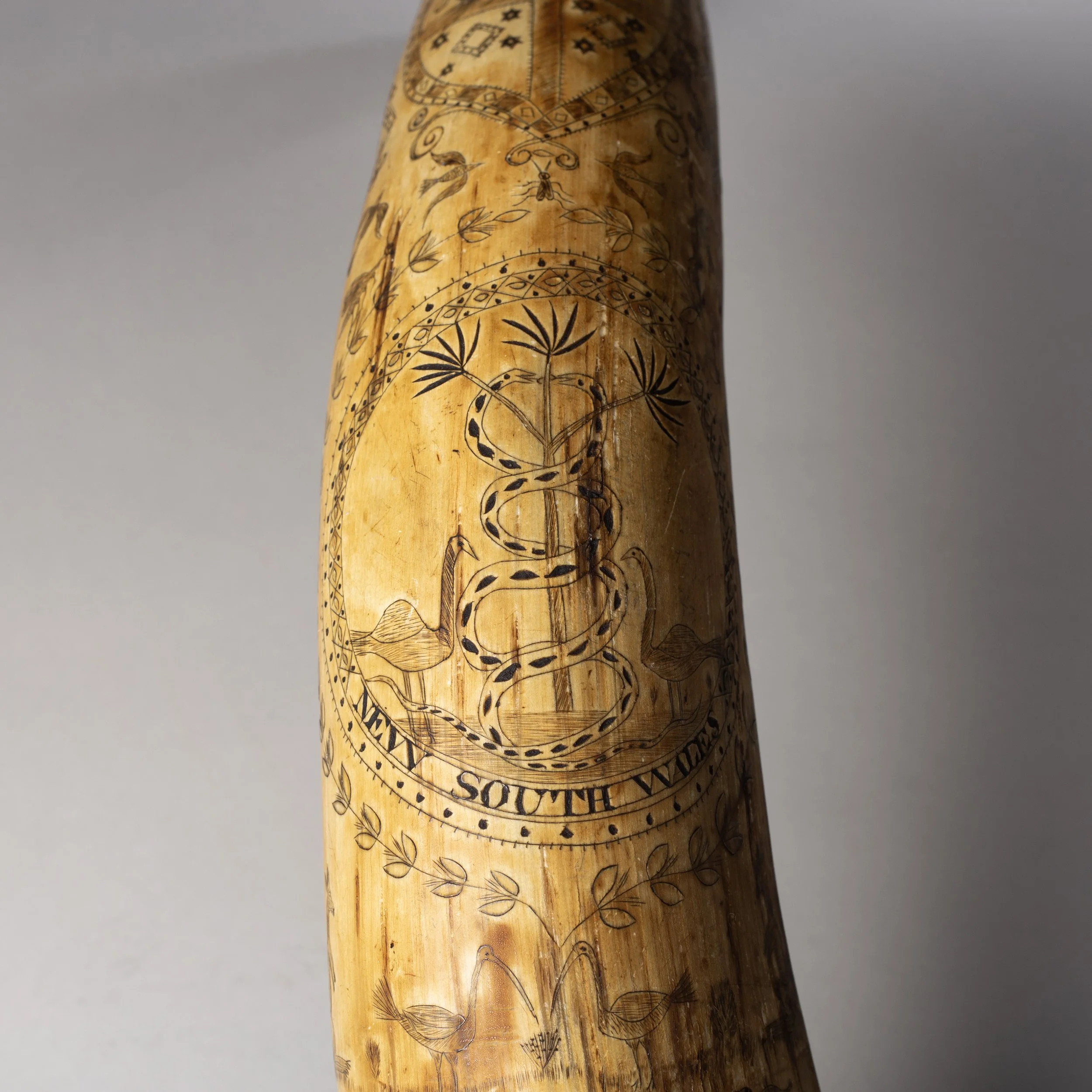 2311-Early-Colonial-Australian-Engraved-Powder-Horn-Australia-Art-Blackburn-9.jpg