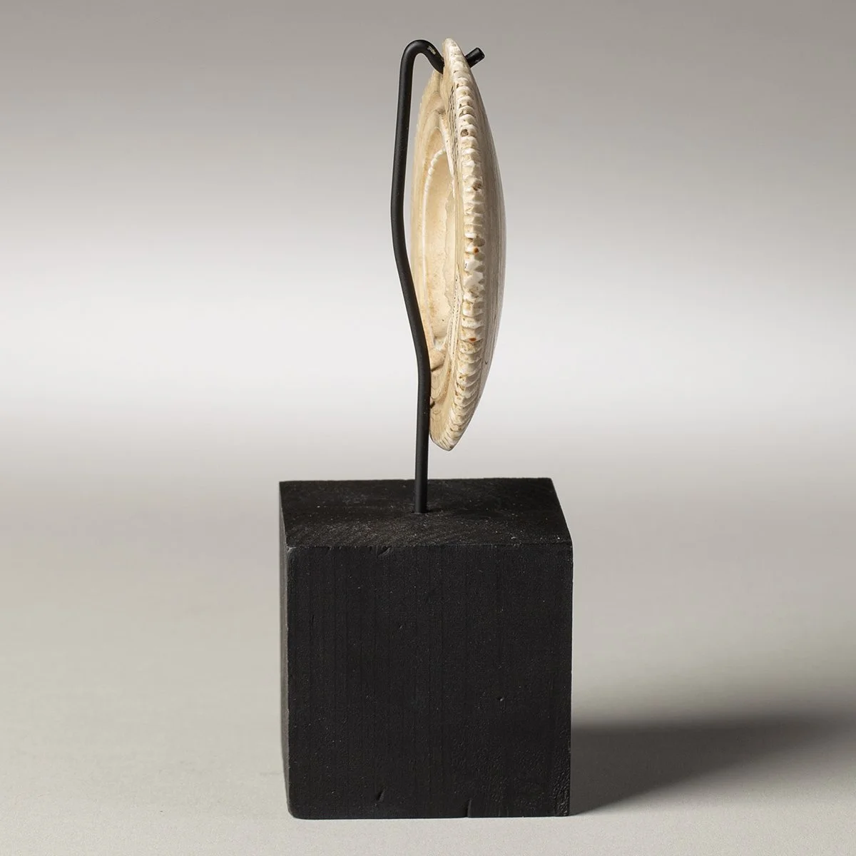 2245-Rare-Torres-Straits-Pendant-Oceanic-Art-Blackburn-7.jpg