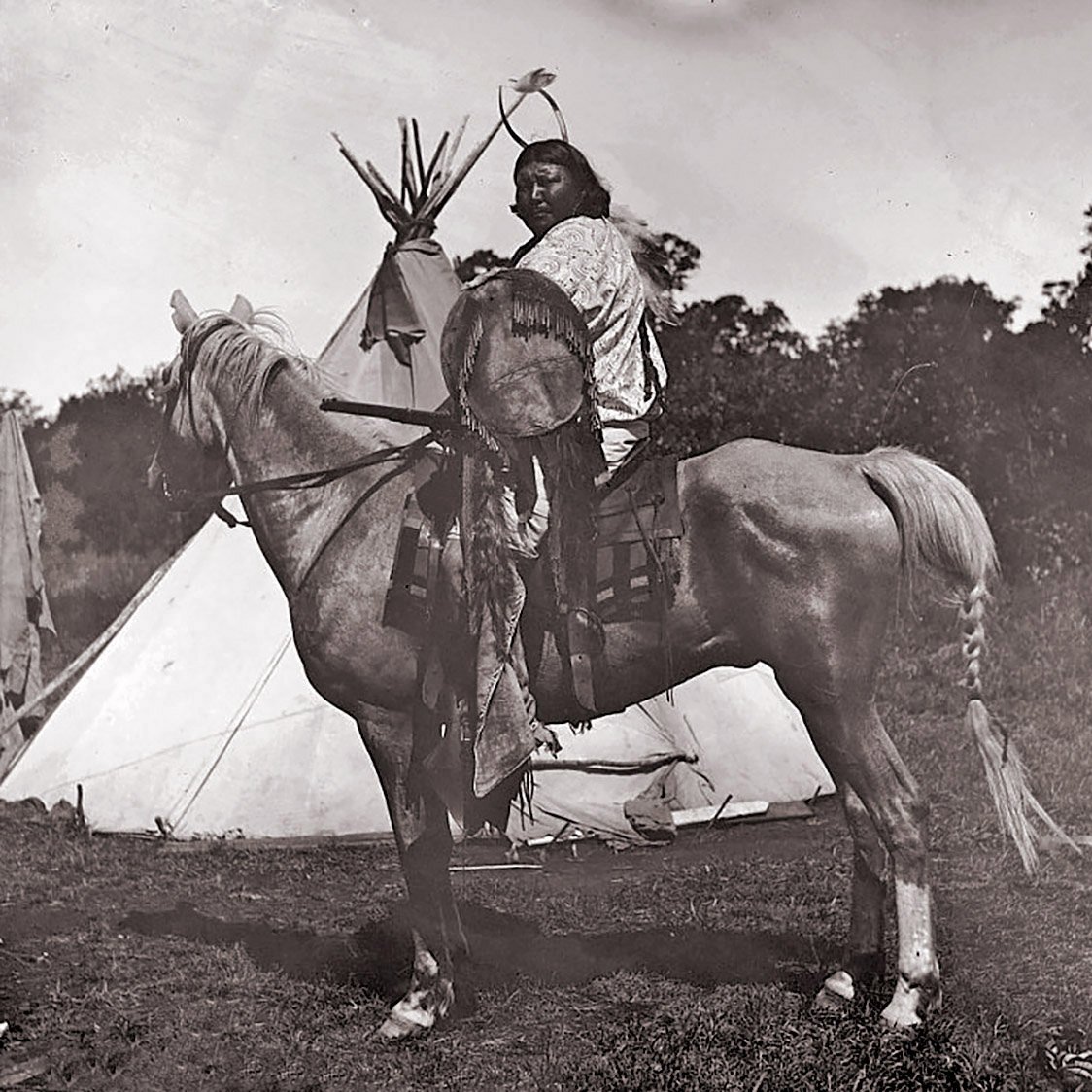 Kiowa-Shield-Cover-Native-American-Other-Art-Blackburn-6.jpg