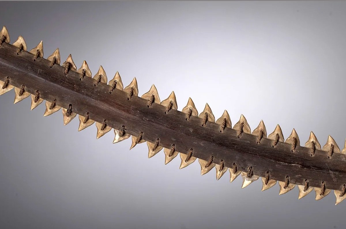 1298-Gilbert+Islands+Shark+Tooth+Hand+Sword+Oceanic+Art+Blackburn+4.jpg