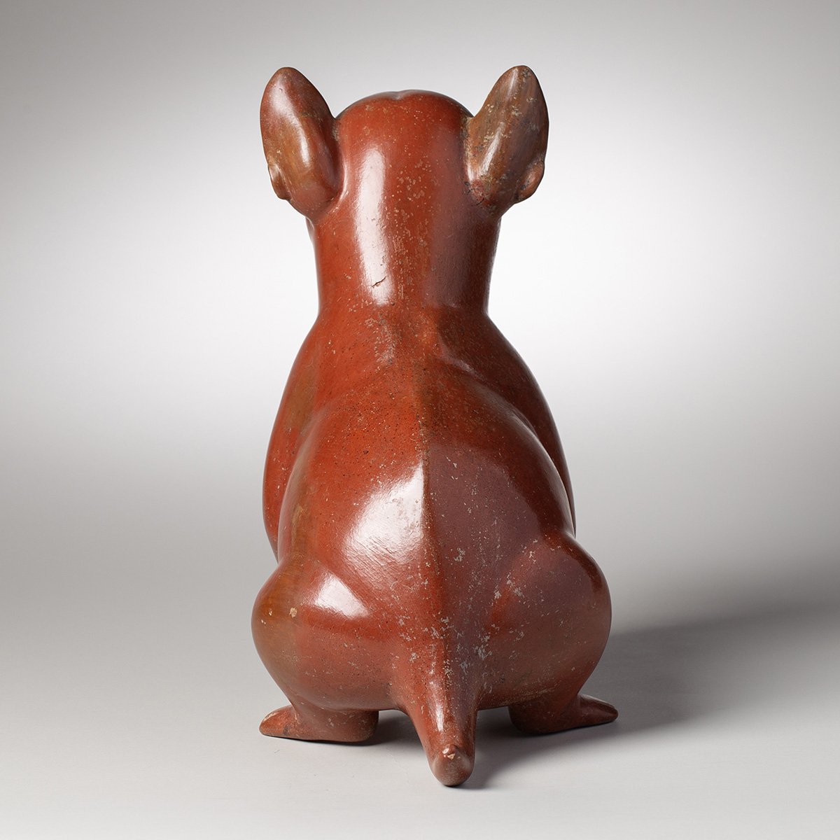 1073-Fine-Large-Colima-Dog-Pre-Columbian-Art-Blackburn-5.jpg