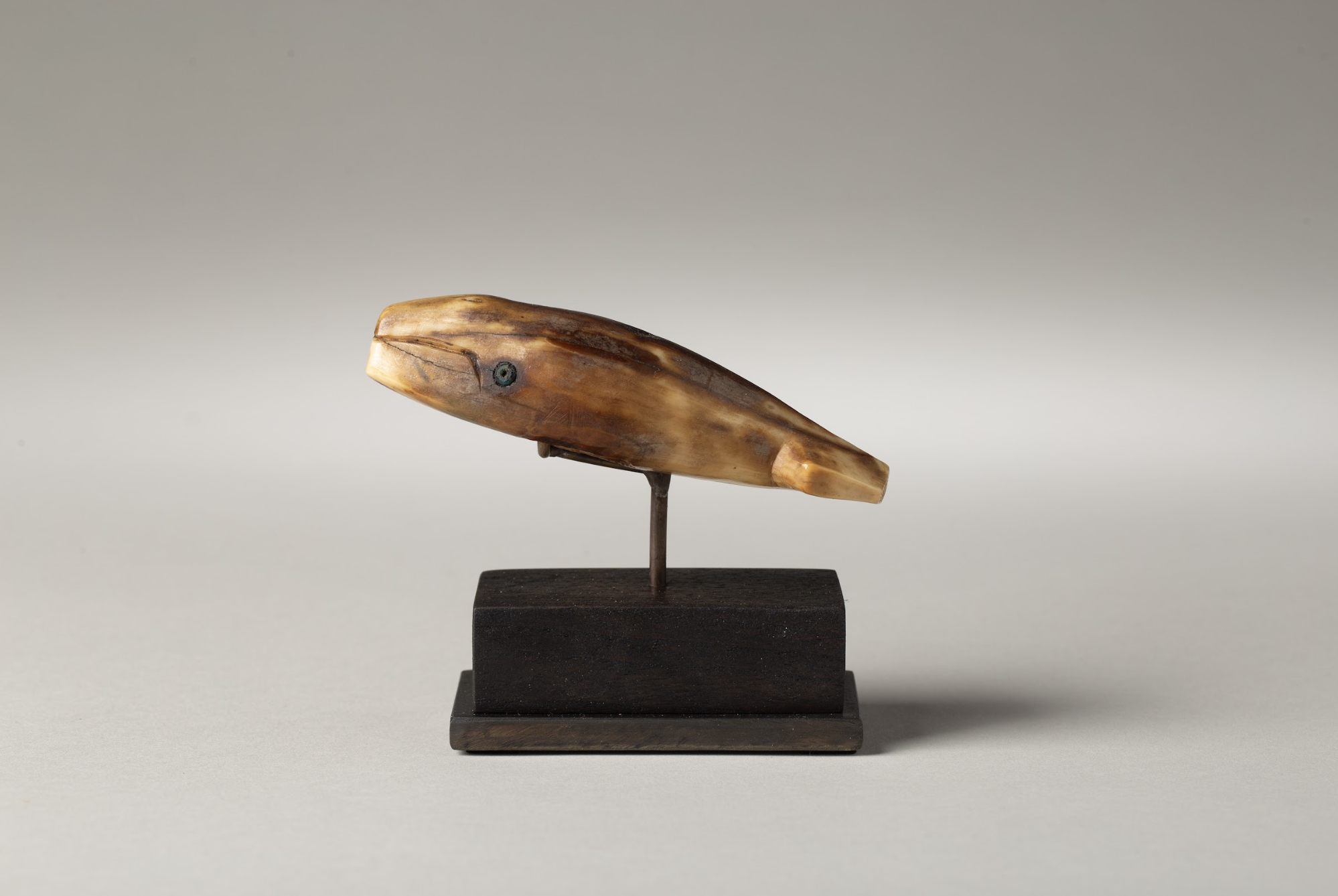Inuit Walrus Ivory Toggle, Trade Bead Eyes