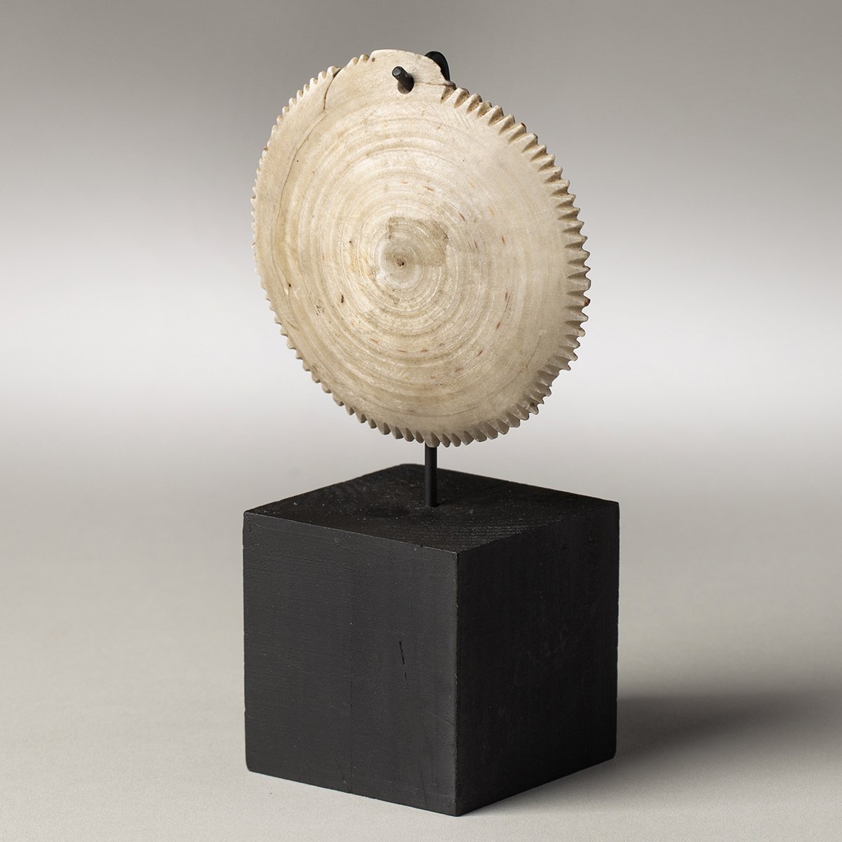 2245-Rare-Torres-Straits-Pendant-Oceanic-Art-Blackburn-3.jpg