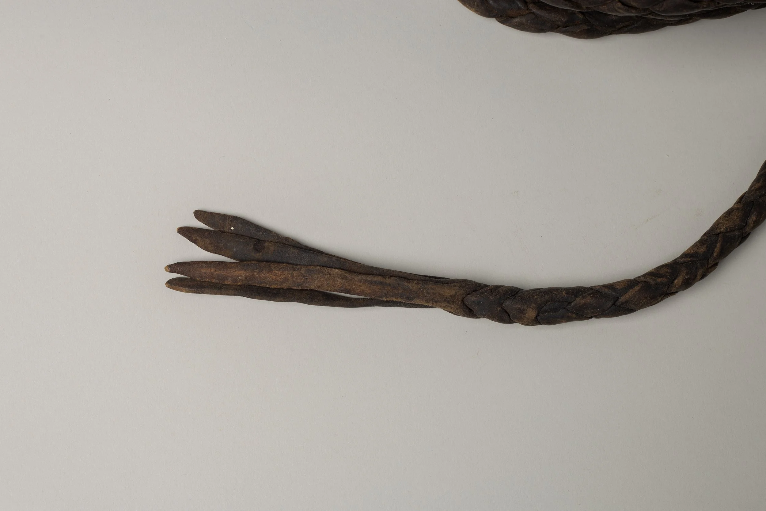 PB 2764d IMG_2884.jpg