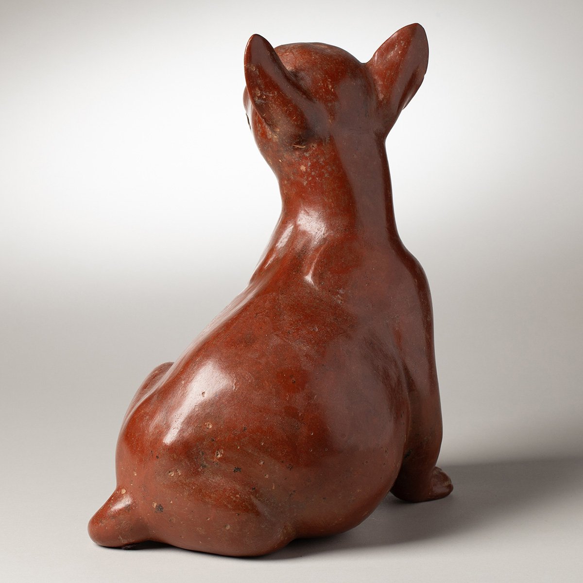1347-Fine-Large-Seated-Colima-Dog-Pre-Columbian-Art-Blackburn-4.jpg