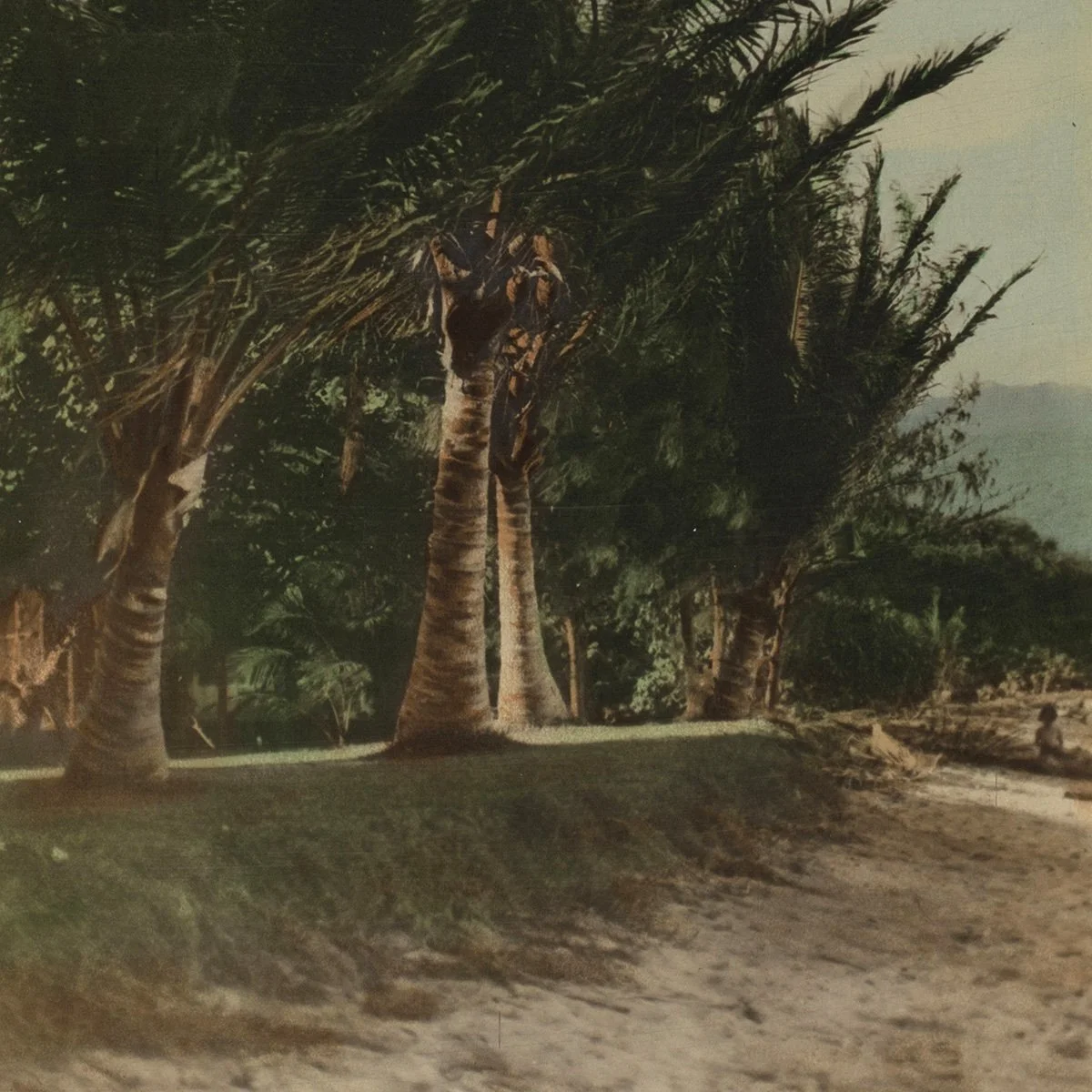 2564-Hand-Colored-Photo-Kailua-Beach-Photographs-Hawaii-Art-Blackburn-2.jpg (Copy)