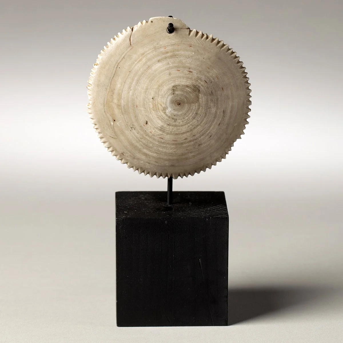 2245-Rare-Torres-Straits-Pendant-Oceanic-Art-Blackburn-1.jpg