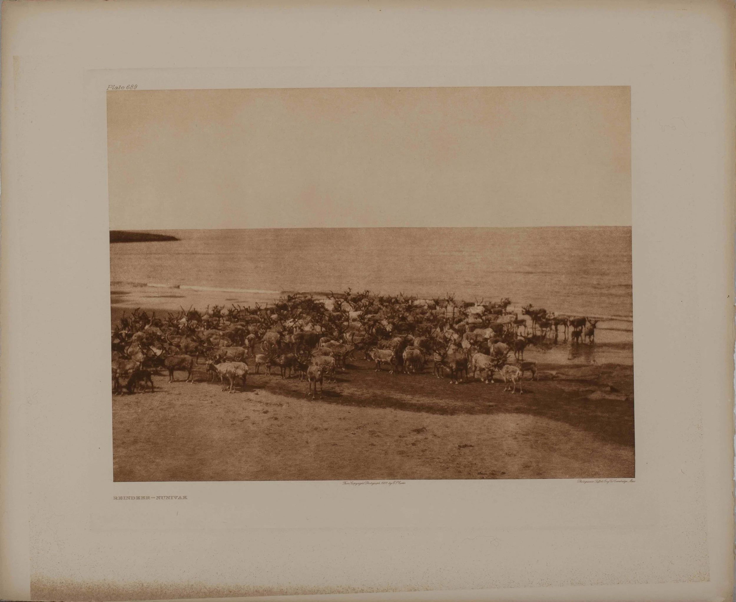 PB 2736 IMG_1998.jpeg