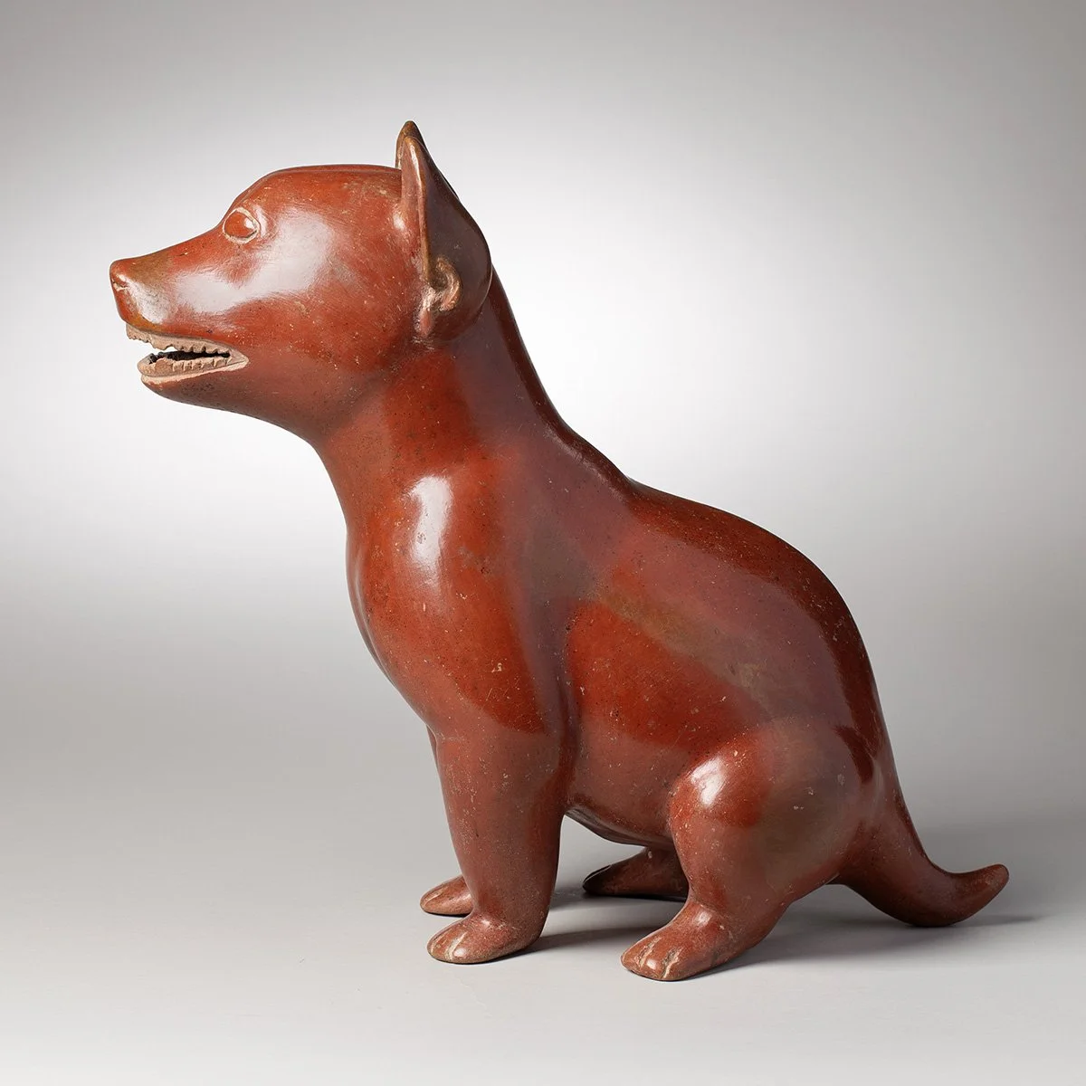 1073-Fine-Large-Colima-Dog-Pre-Columbian-Art-Blackburn-1.jpg