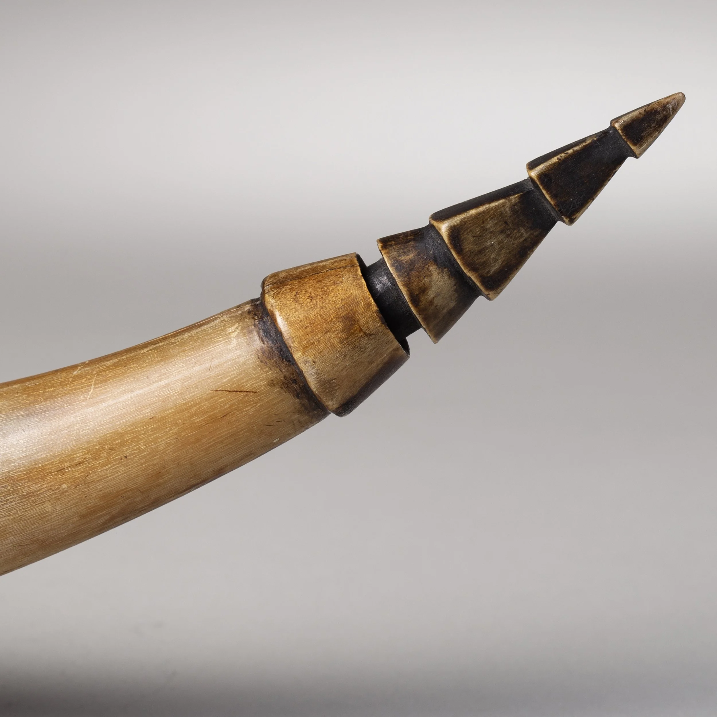2311-Early-Colonial-Australian-Engraved-Powder-Horn-Australia-Art-Blackburn-7.jpg