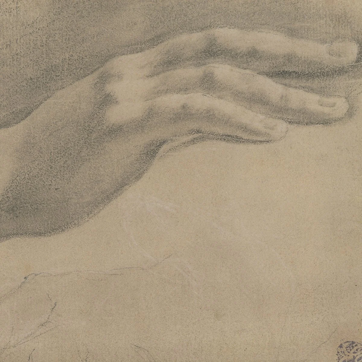 2524-Study-Arm-Drawing-Old-Master-Drawings-Art-Blackburn-2.jpg