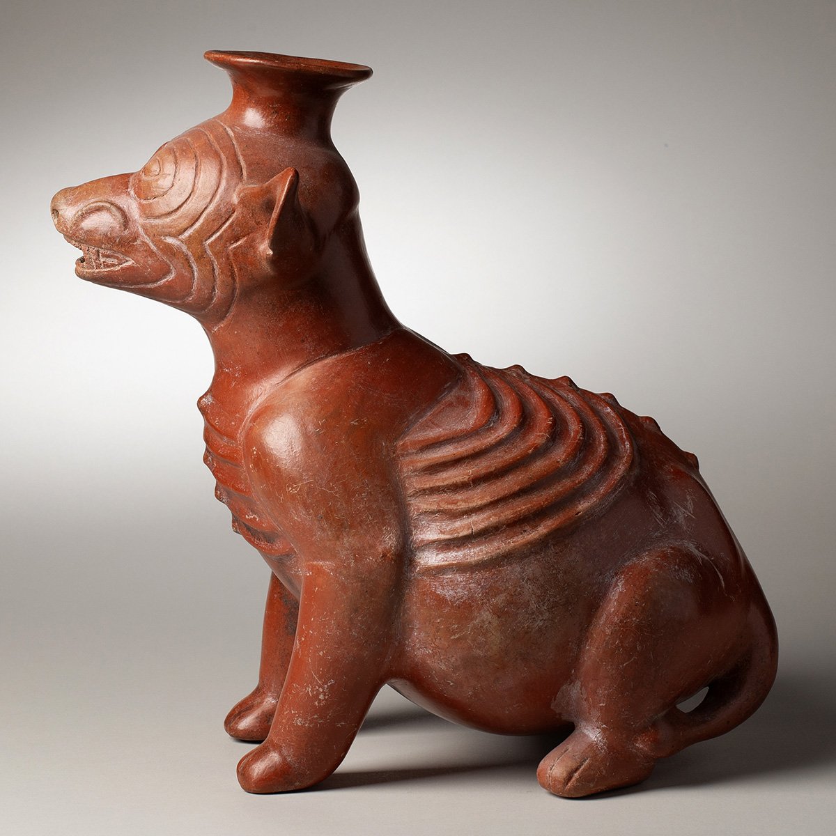 1346-Very-Large-Colima-Seated-Wrinkled-Dog-Pre-Columbian-Art-Blackburn-1.jpg